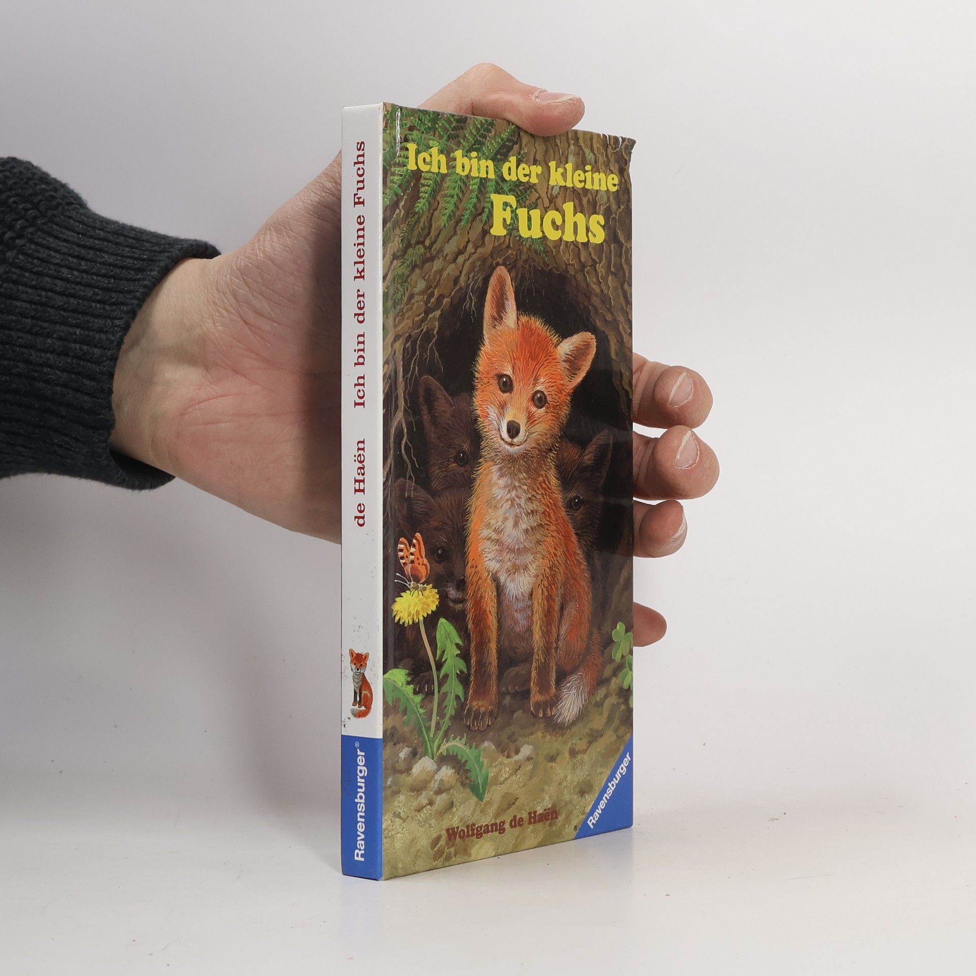 Wolfgang de Haen Ich bin der kleine Fuchs