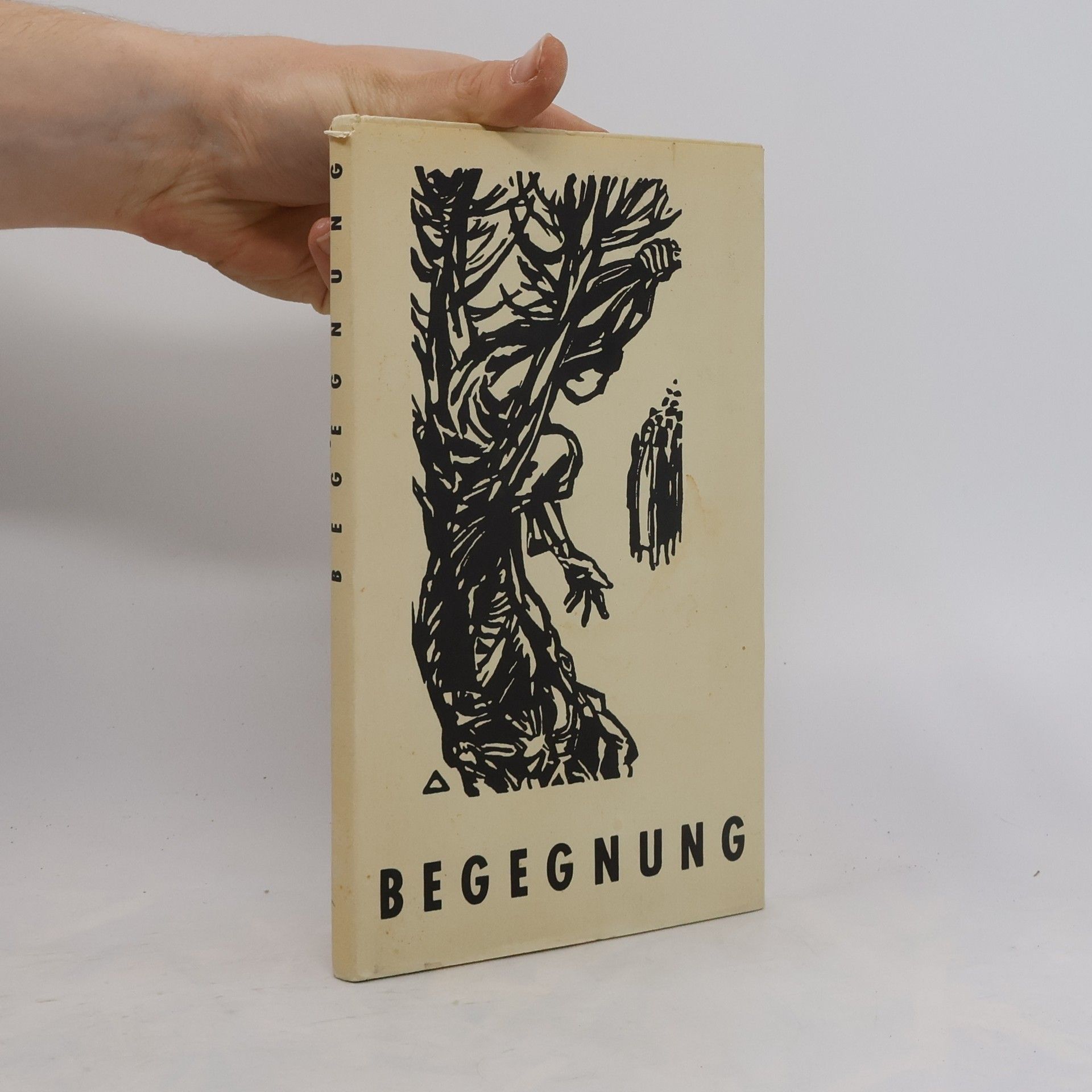 Kolektiv autorů Begegnung