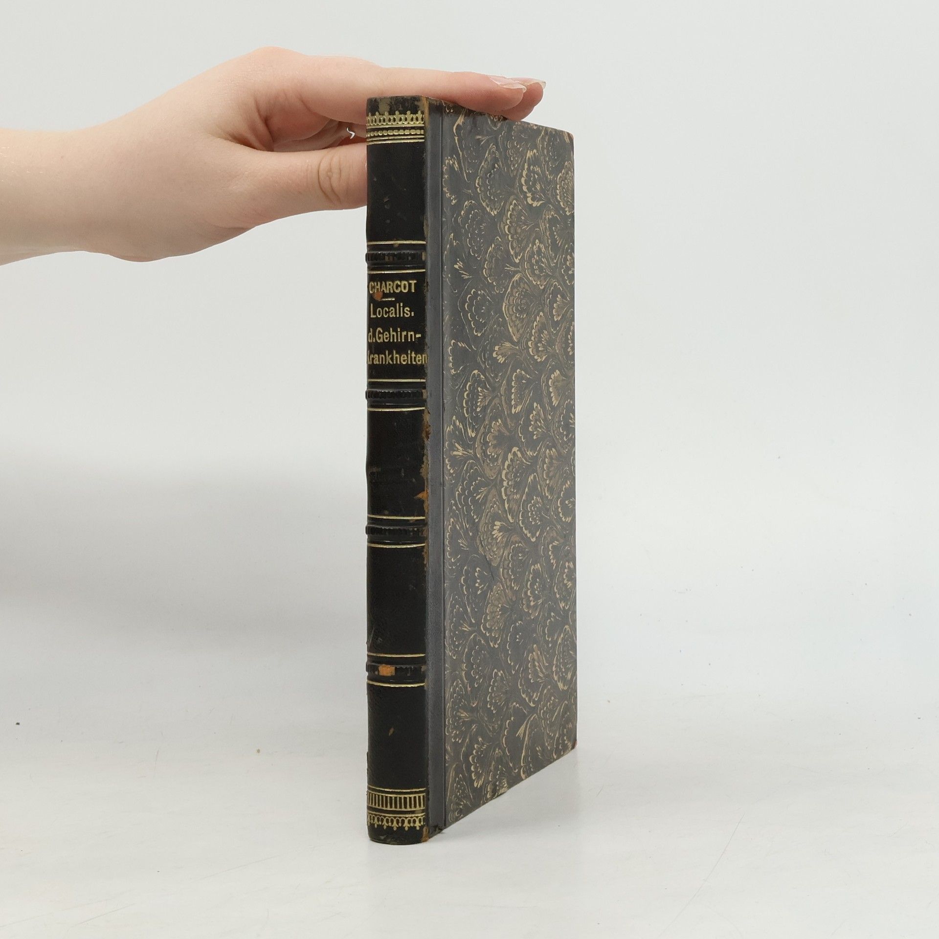 J. M. Charcot Ueber die Localisationen der Gehirn-Krankheiten