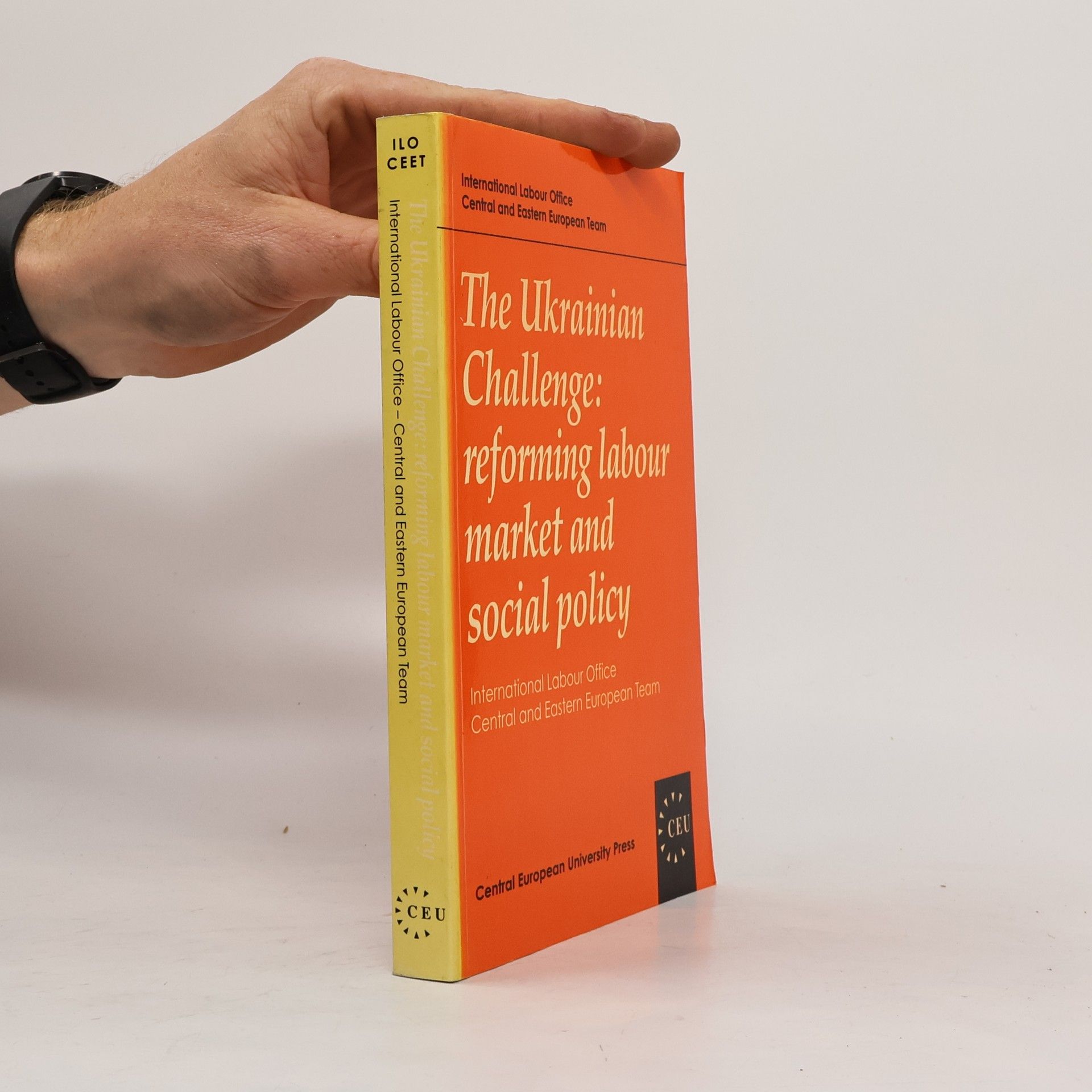 International Labour Organization - Central and Eastern European Team The Ukrainian Challenge