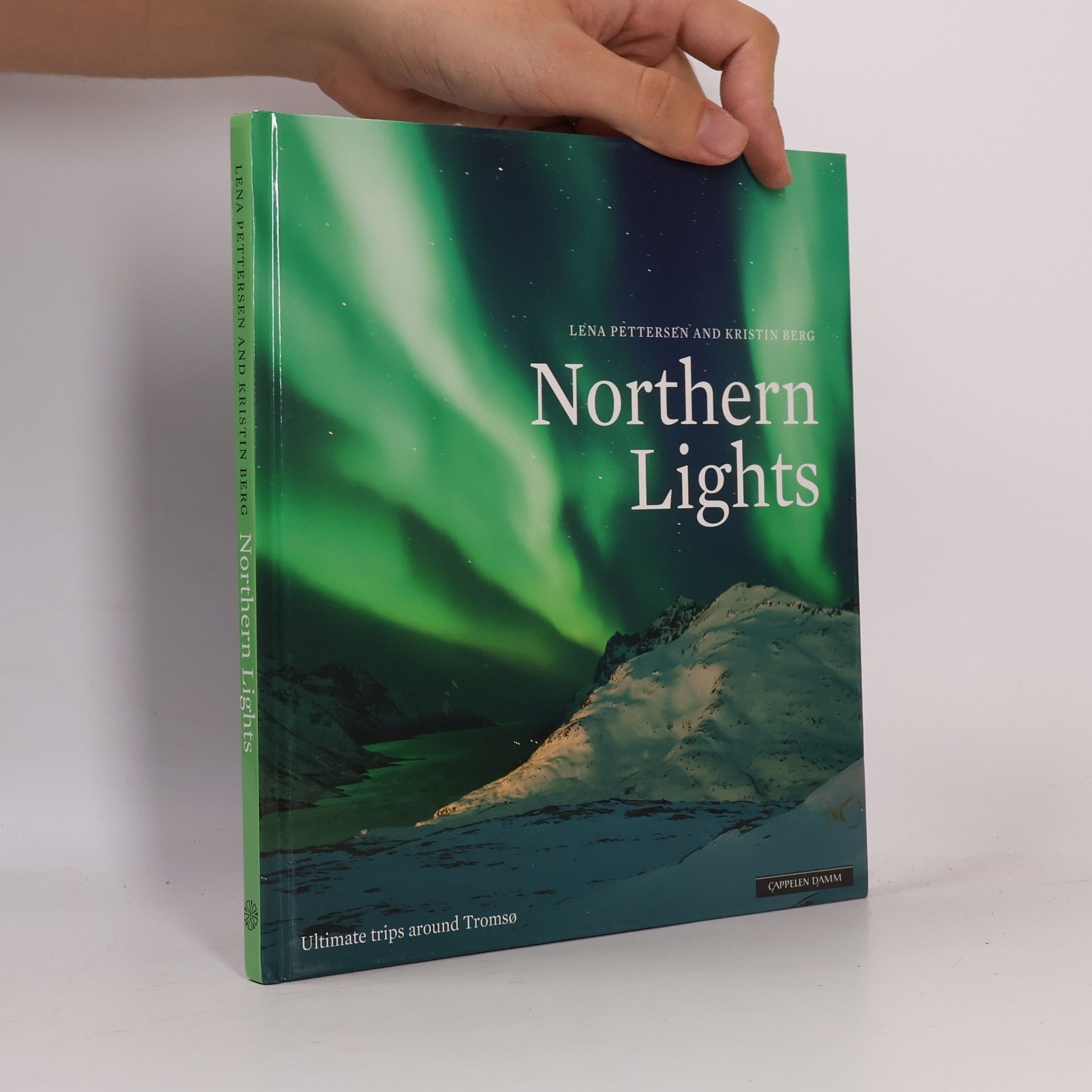 Lena Pettersen Northern Lights