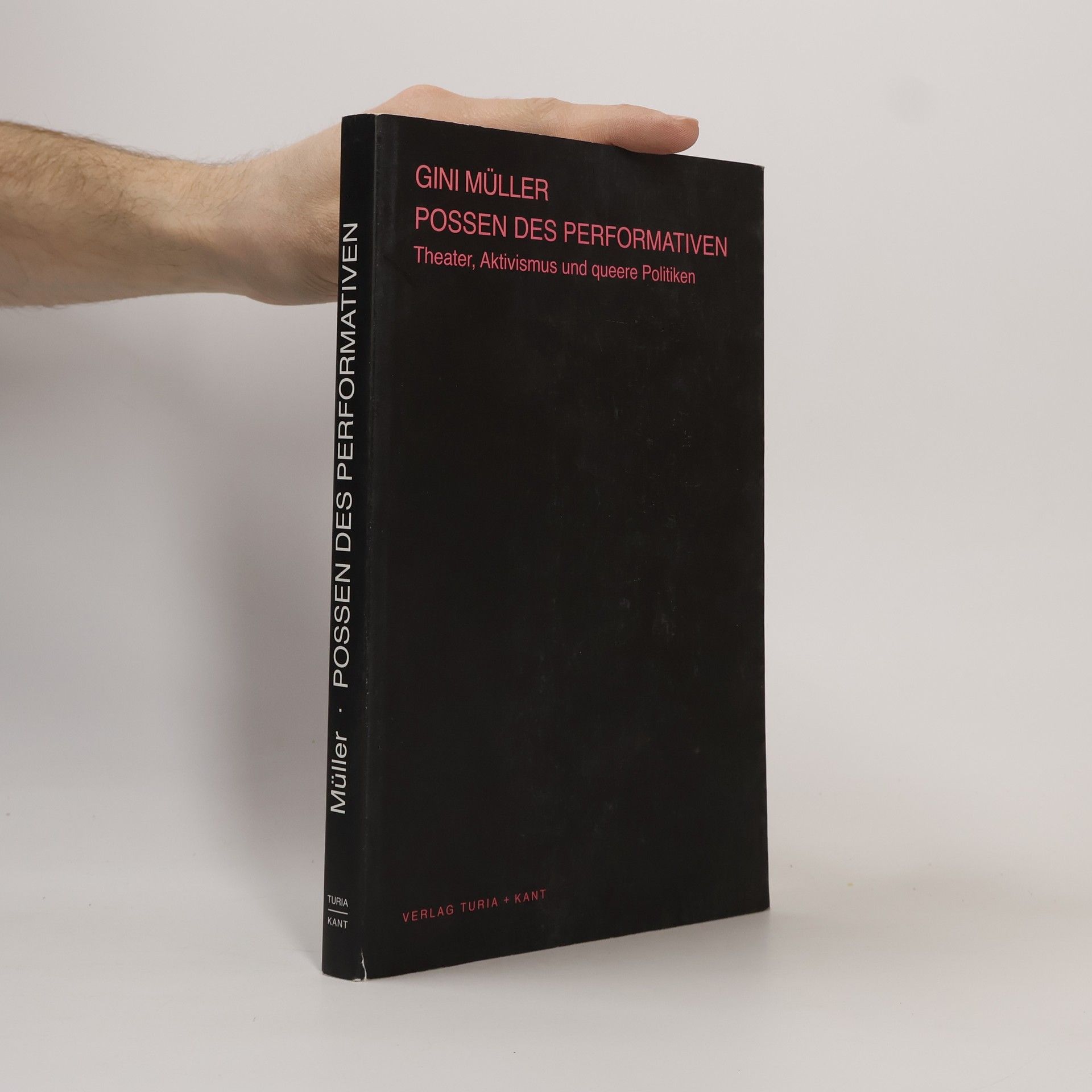 Gini Müller rePUBLICart: Possen des Performativen