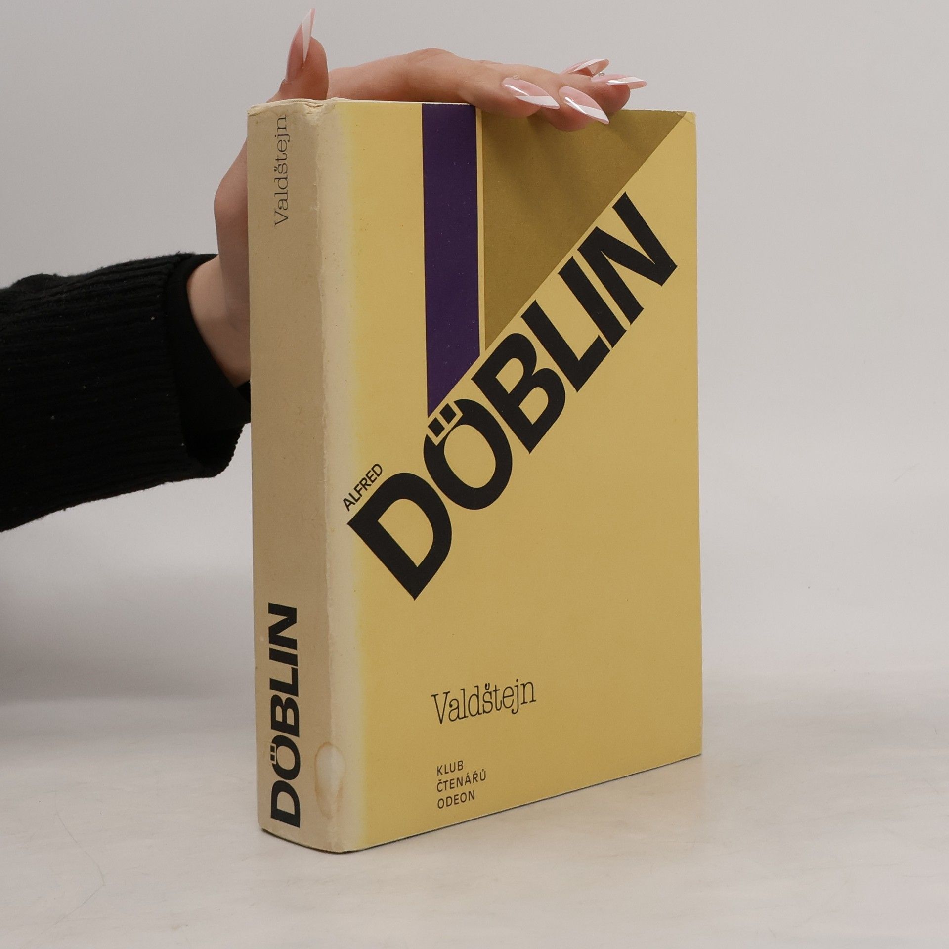 Alfred Döblin Valdštejn