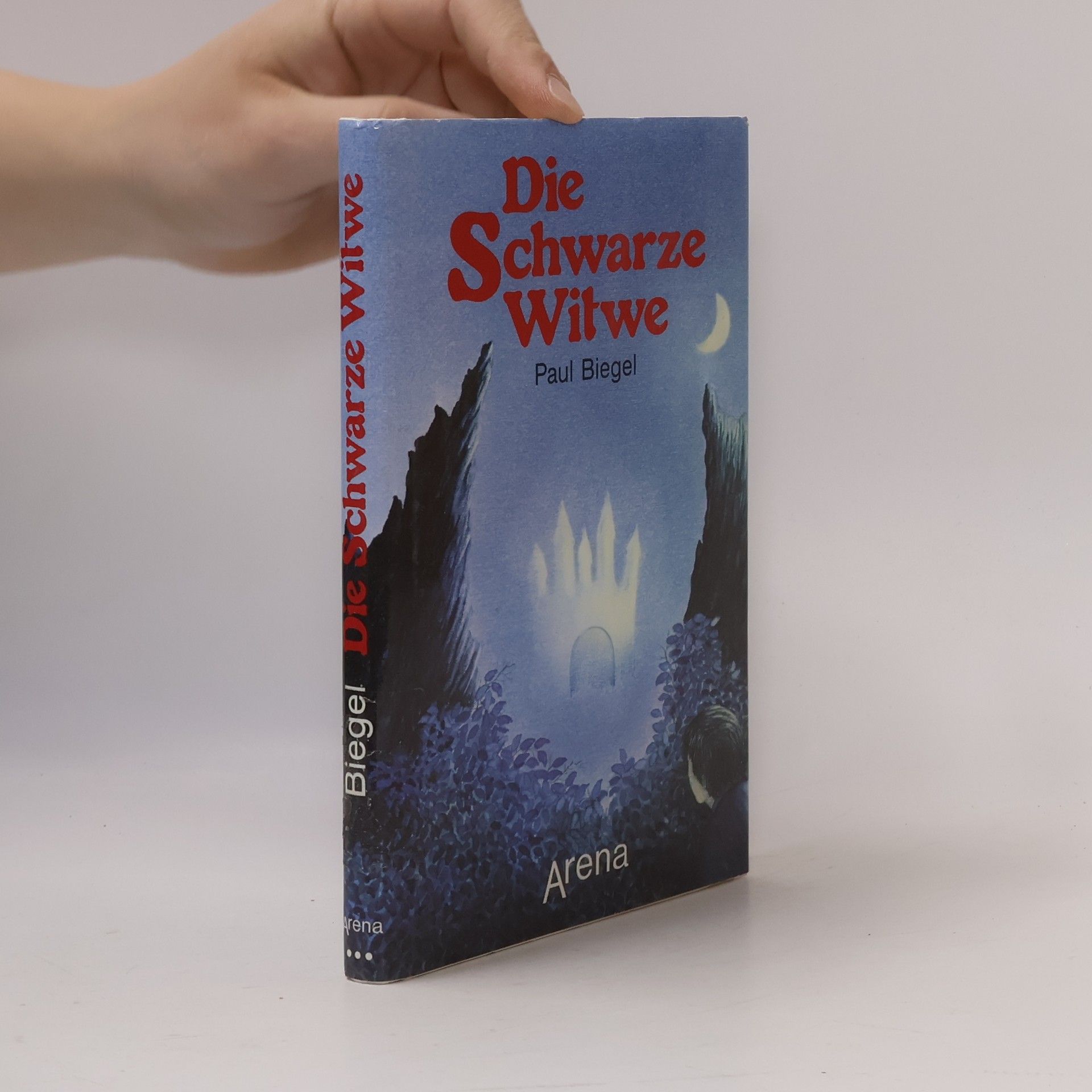 Paul Biegel Die Schwarze Witwe