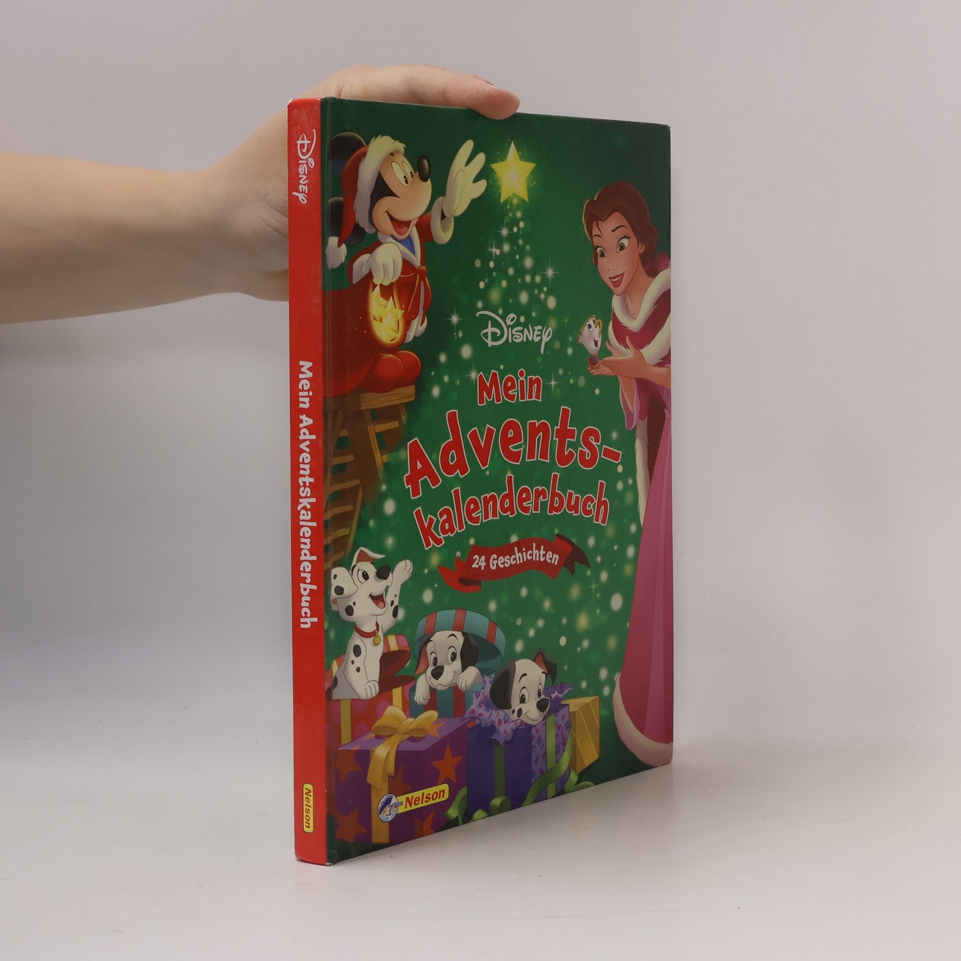 Disney Mein Adventskalenderbuch