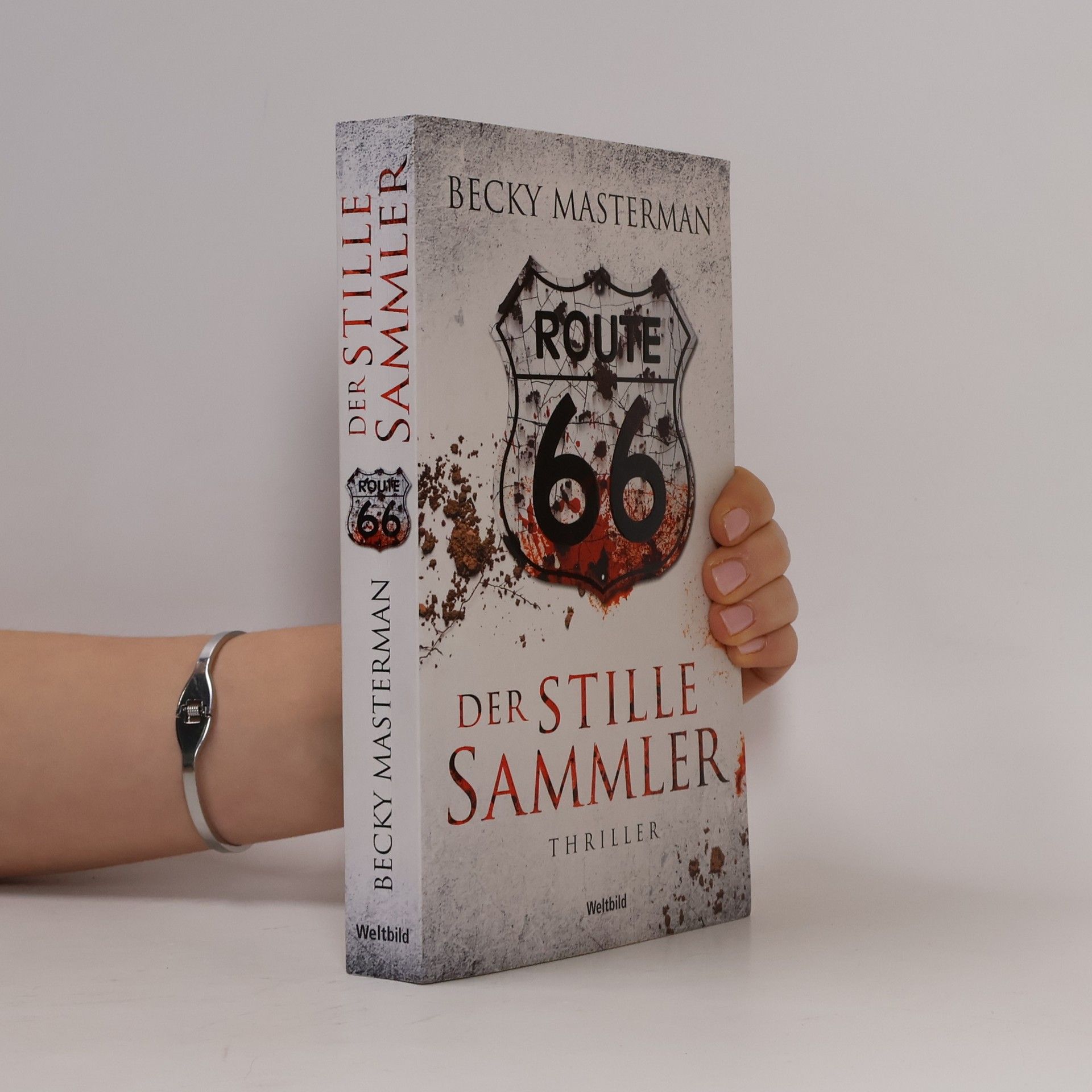 Becky Masterman Der stille Sammler