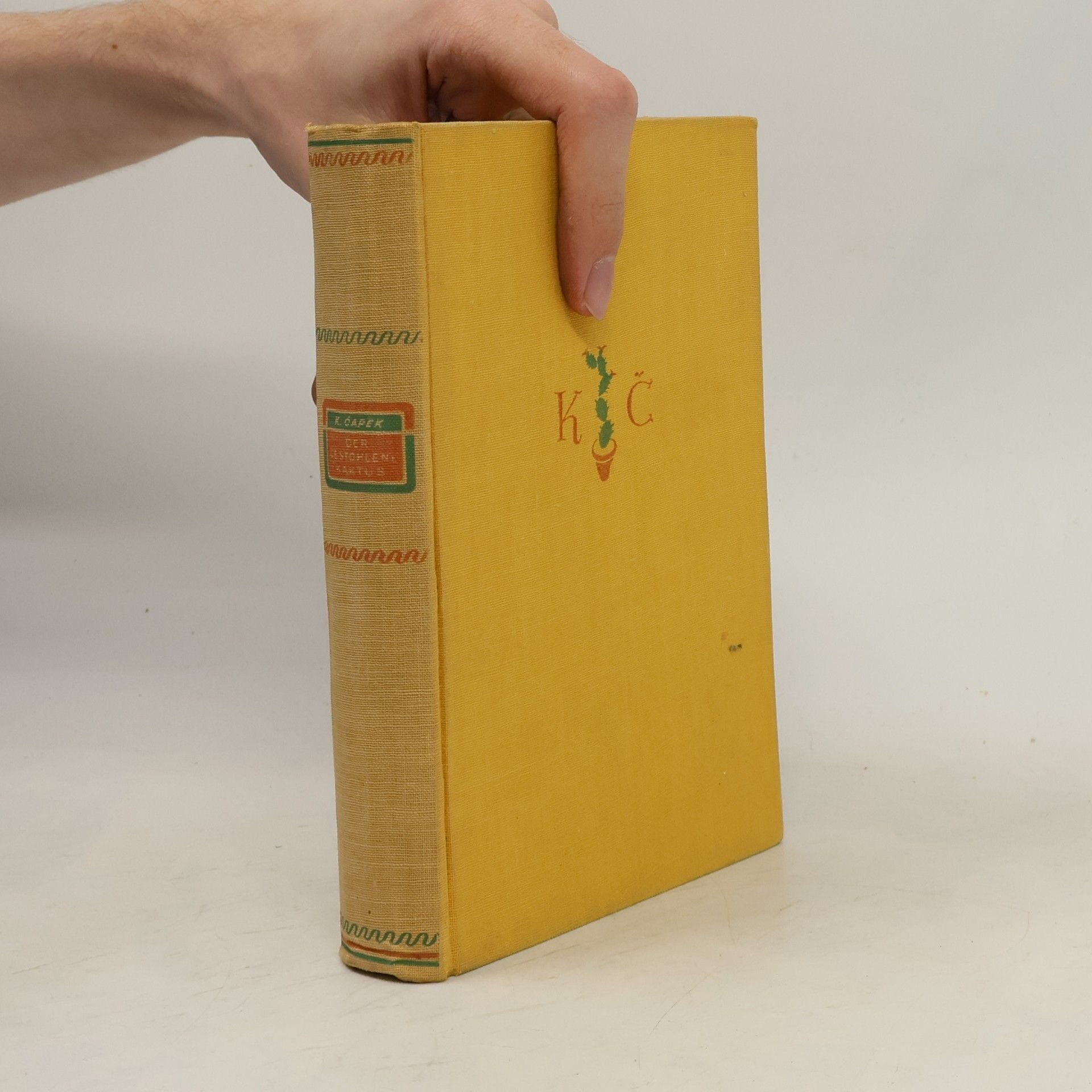 Der gestohlene Kaktus und andere Geschichten