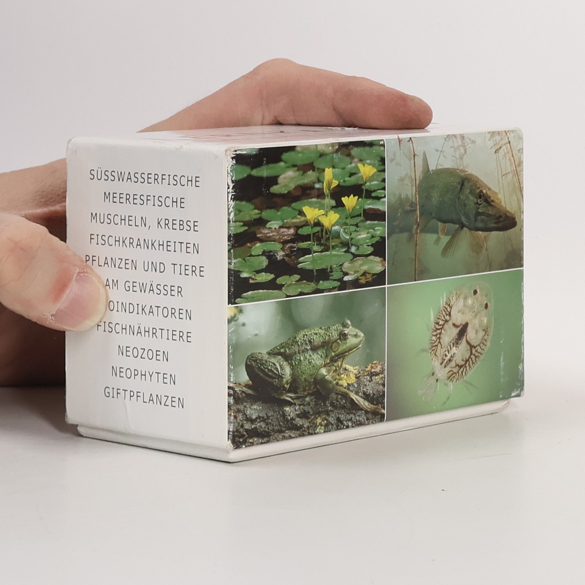 Hermann Bayrle Lernkarten. Sicher durch die Fischerprüfung