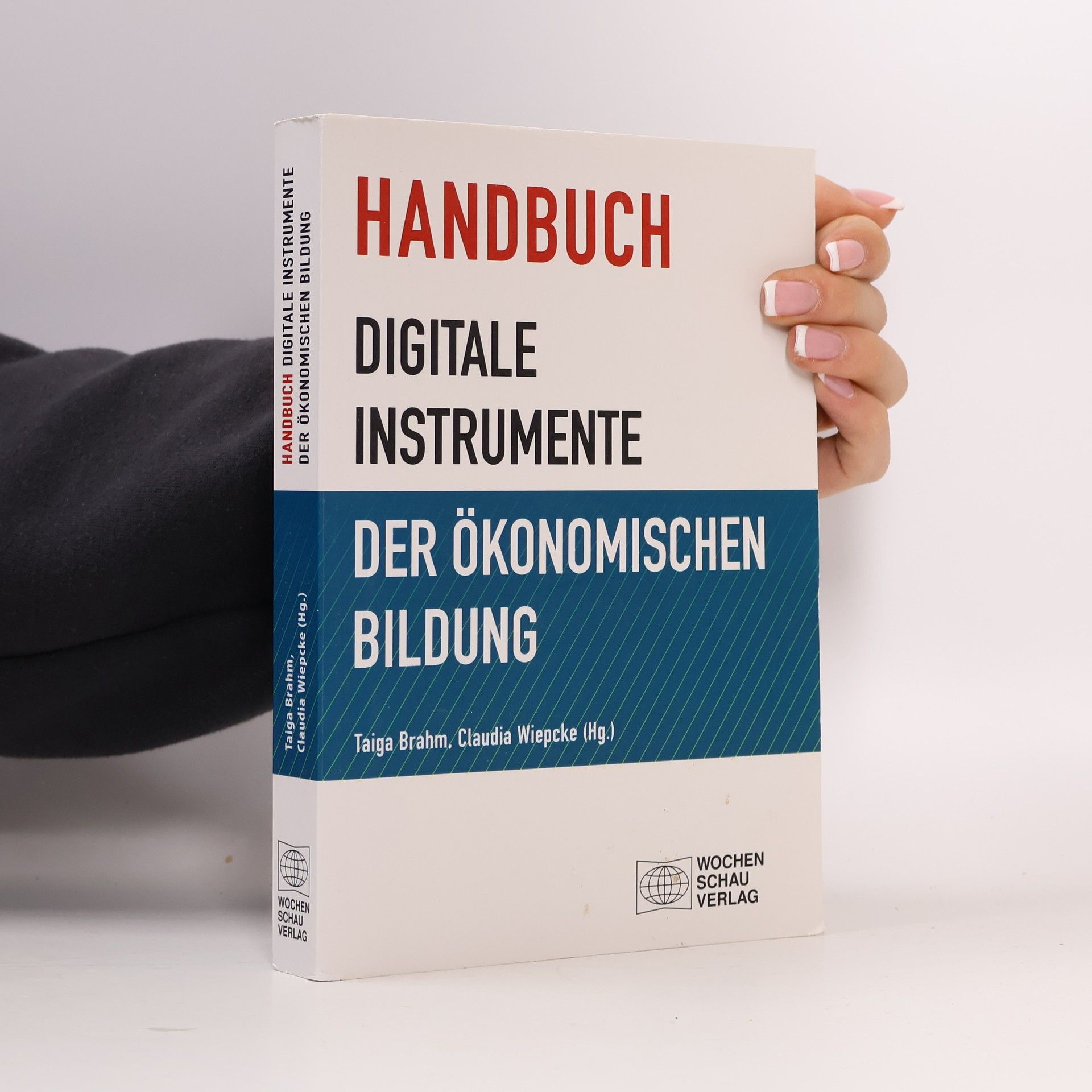 Taiga Brahm Handbuch digitale Instrumente der ökonomischen Bildung