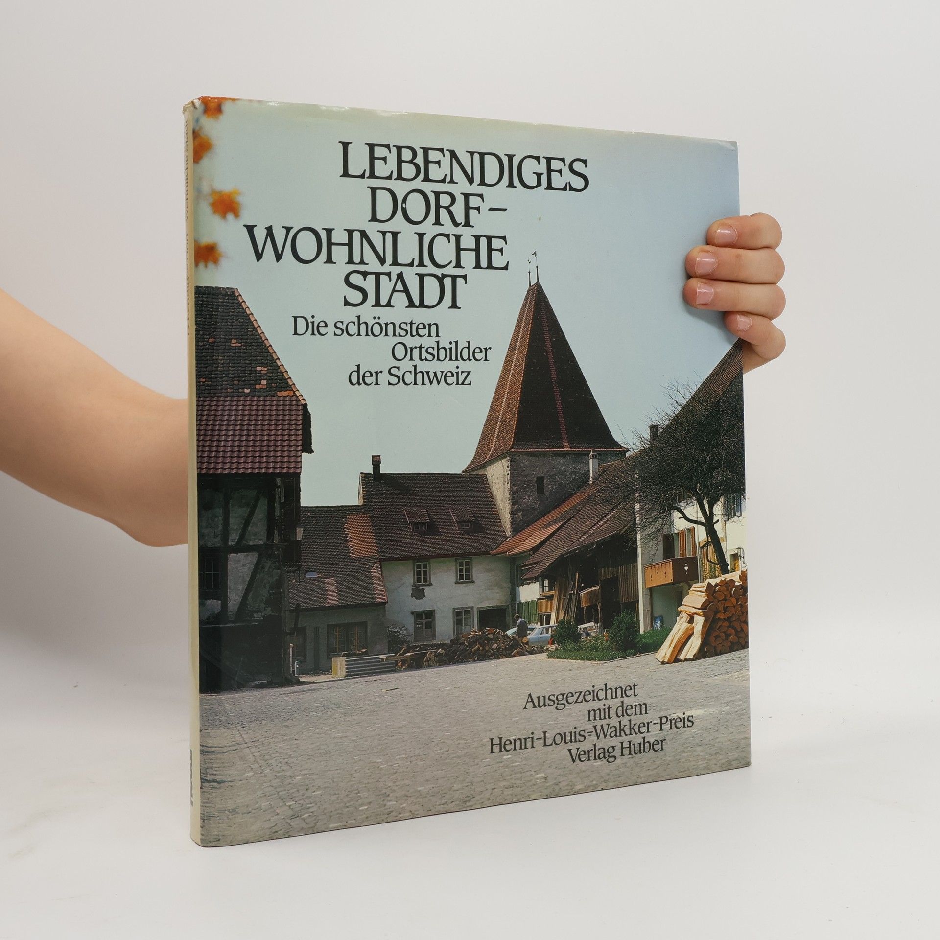 Marco Badilatti Lebendiges Dorf - Wohnliche Stadt