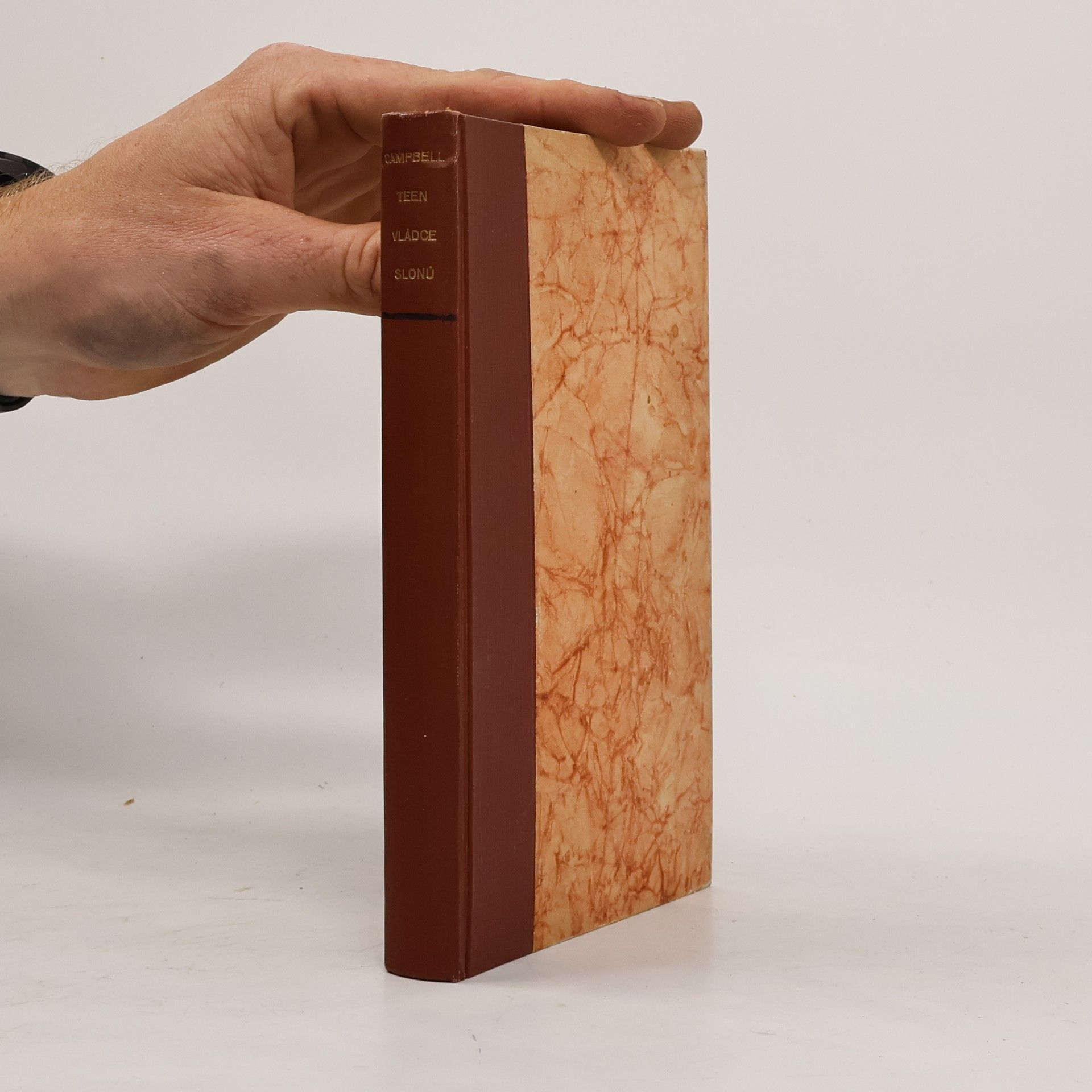 Reginald Campbell Malý Teen, vládce slonů