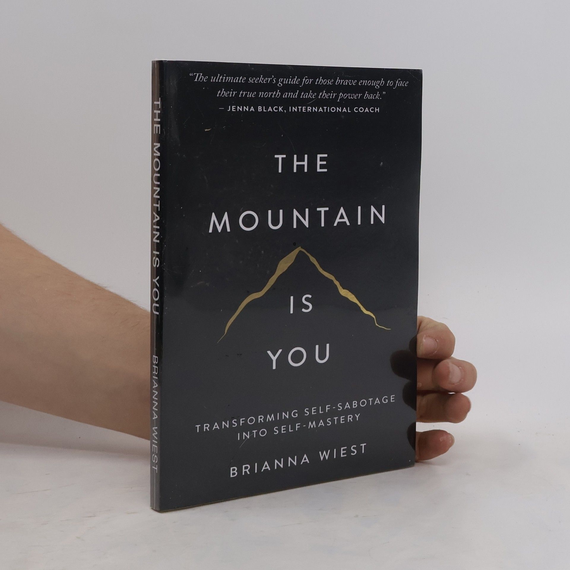 Brianna Wiest The Mountain Is You