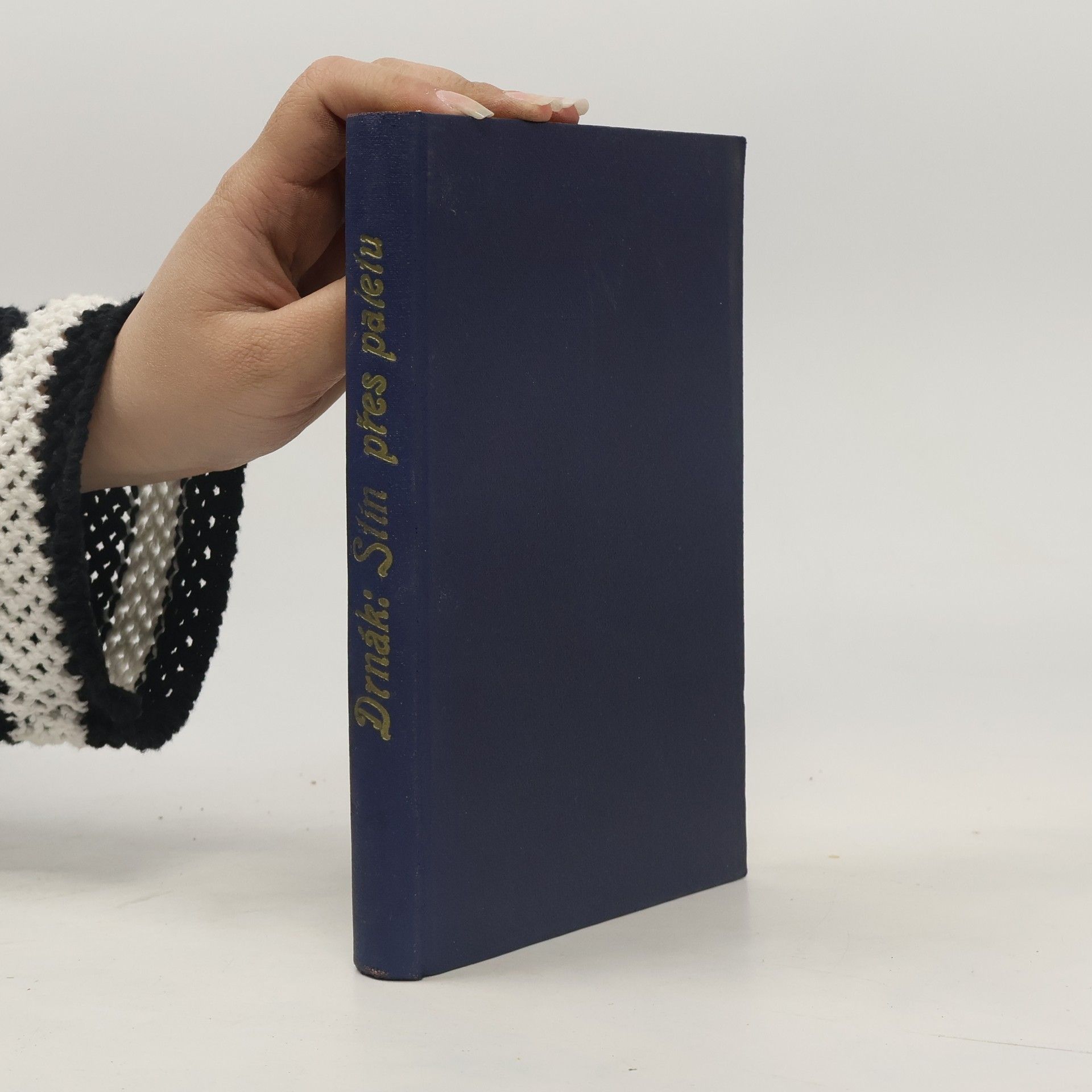 Vladimír Drnák Stín přes paletu