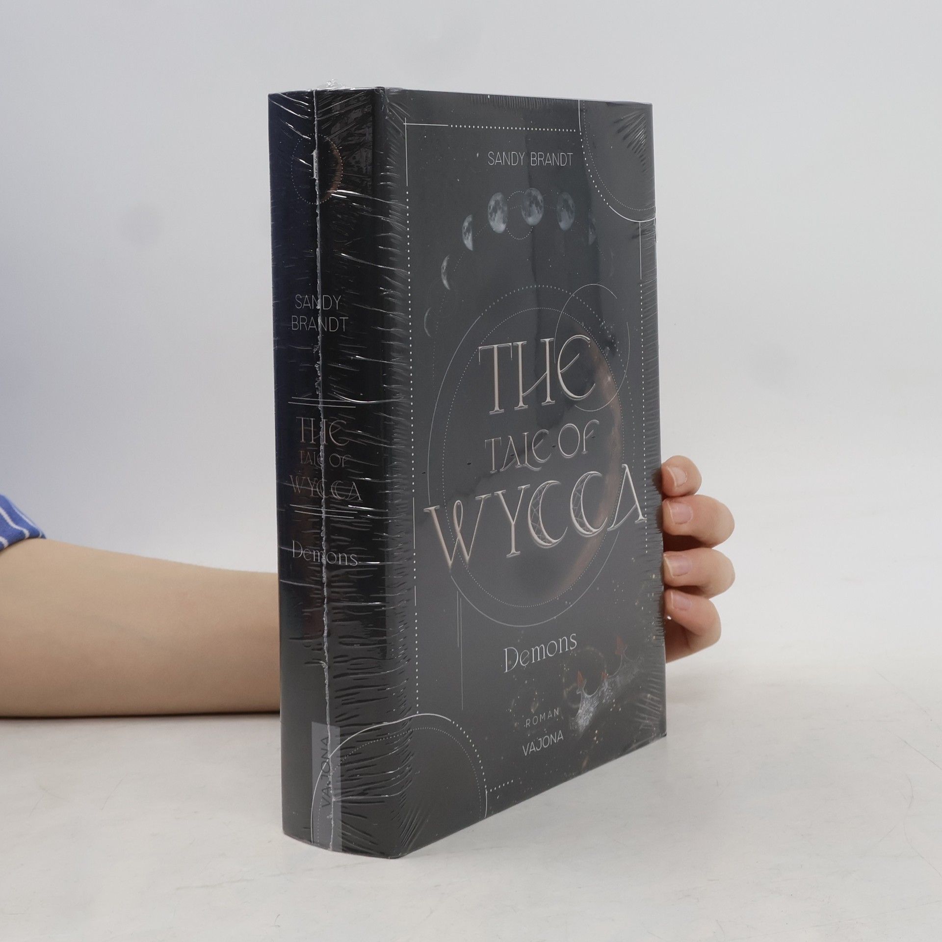 Sandy Brandt THE TALE OF WYCCA: Demons (WYCCA-Reihe 1)
