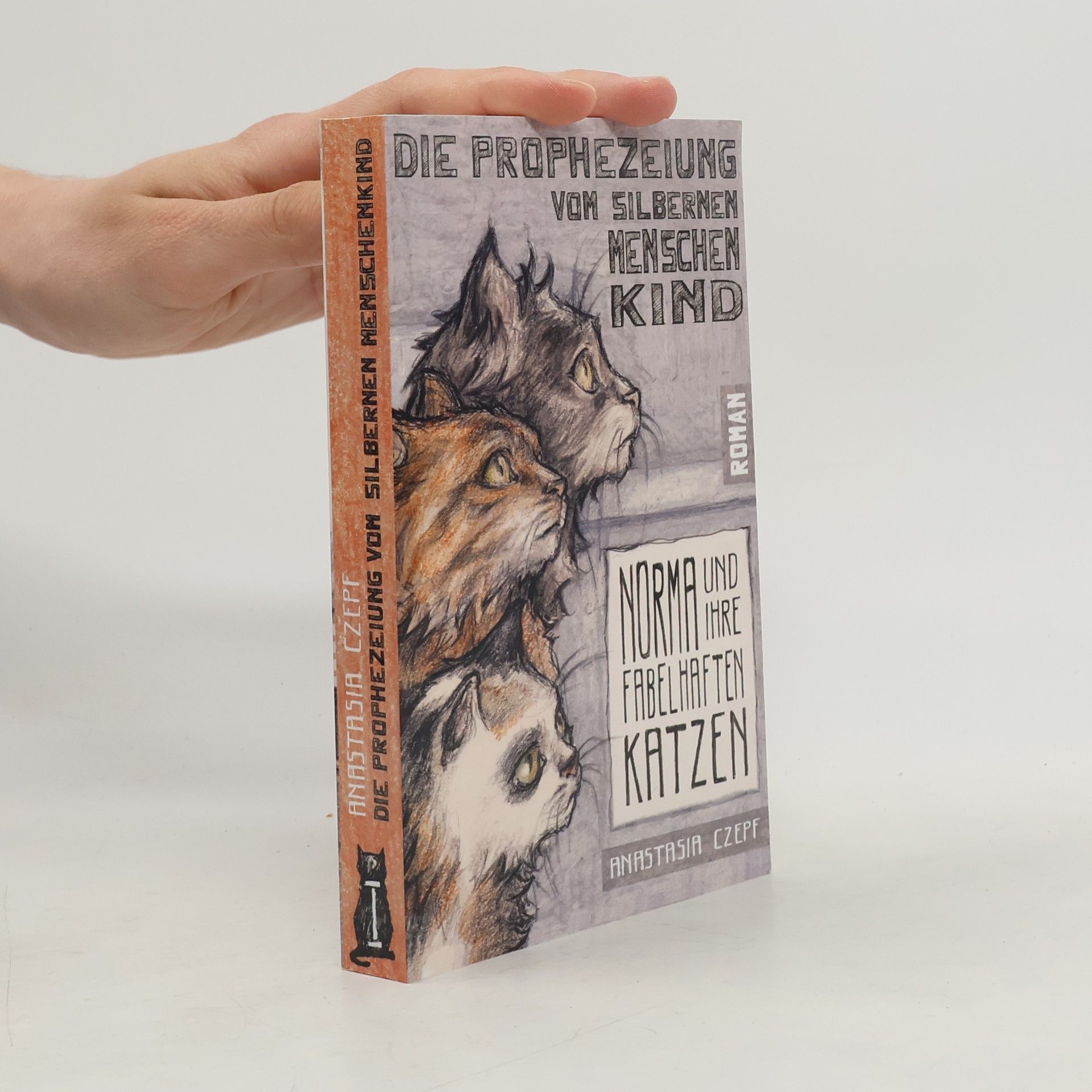 Anastasia Czepf Die Prophezeiung vom Silbernen Menschenkind