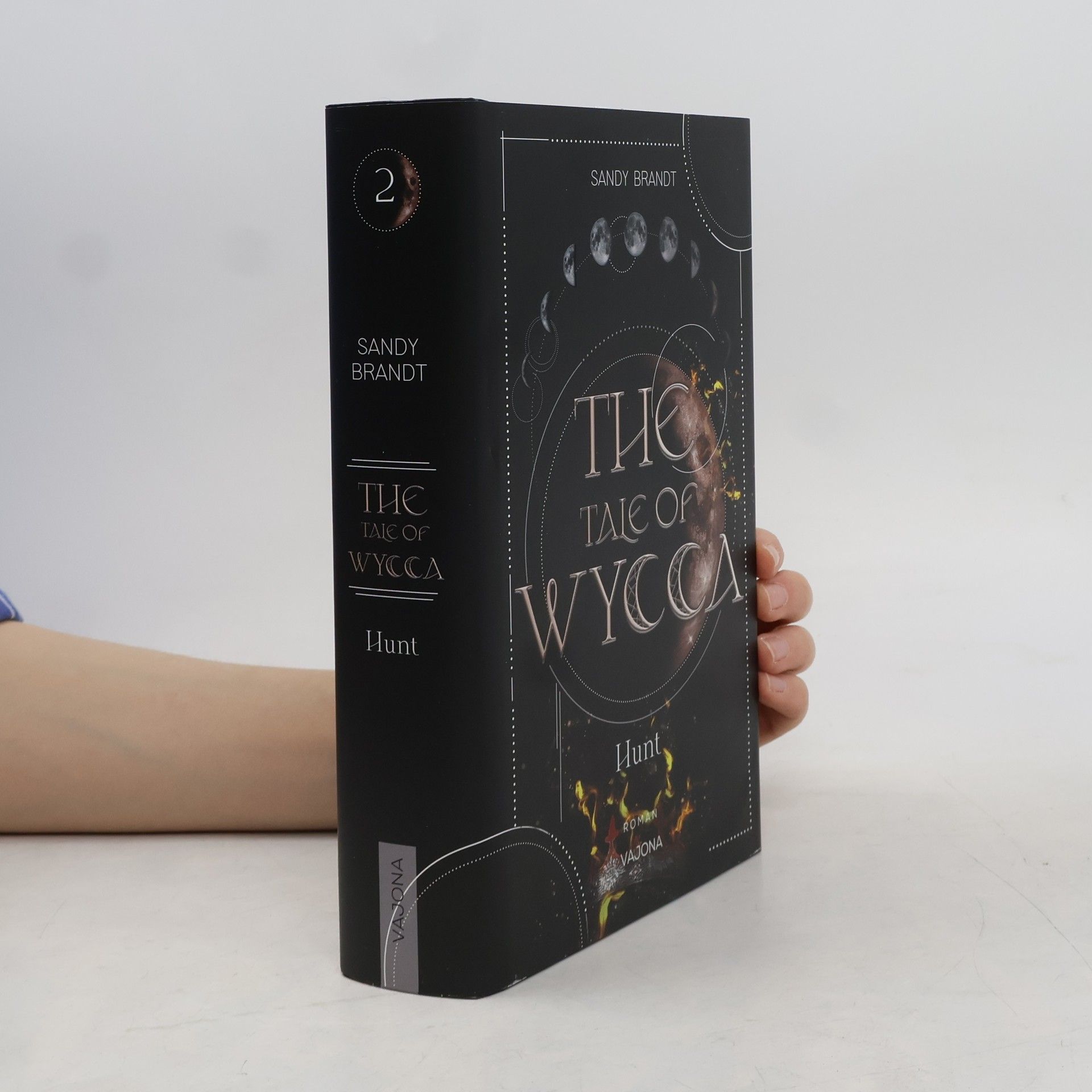 Sandy Brandt THE TALE OF WYCCA: Hunt (WYCCA-Reihe 2)