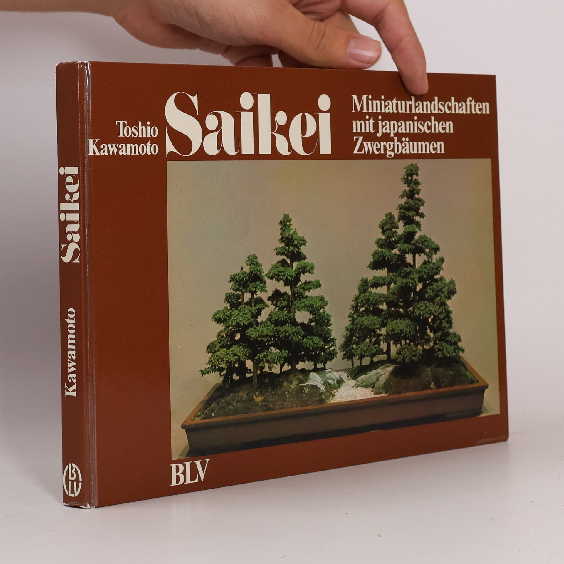 Toshio Kawamoto Saikei