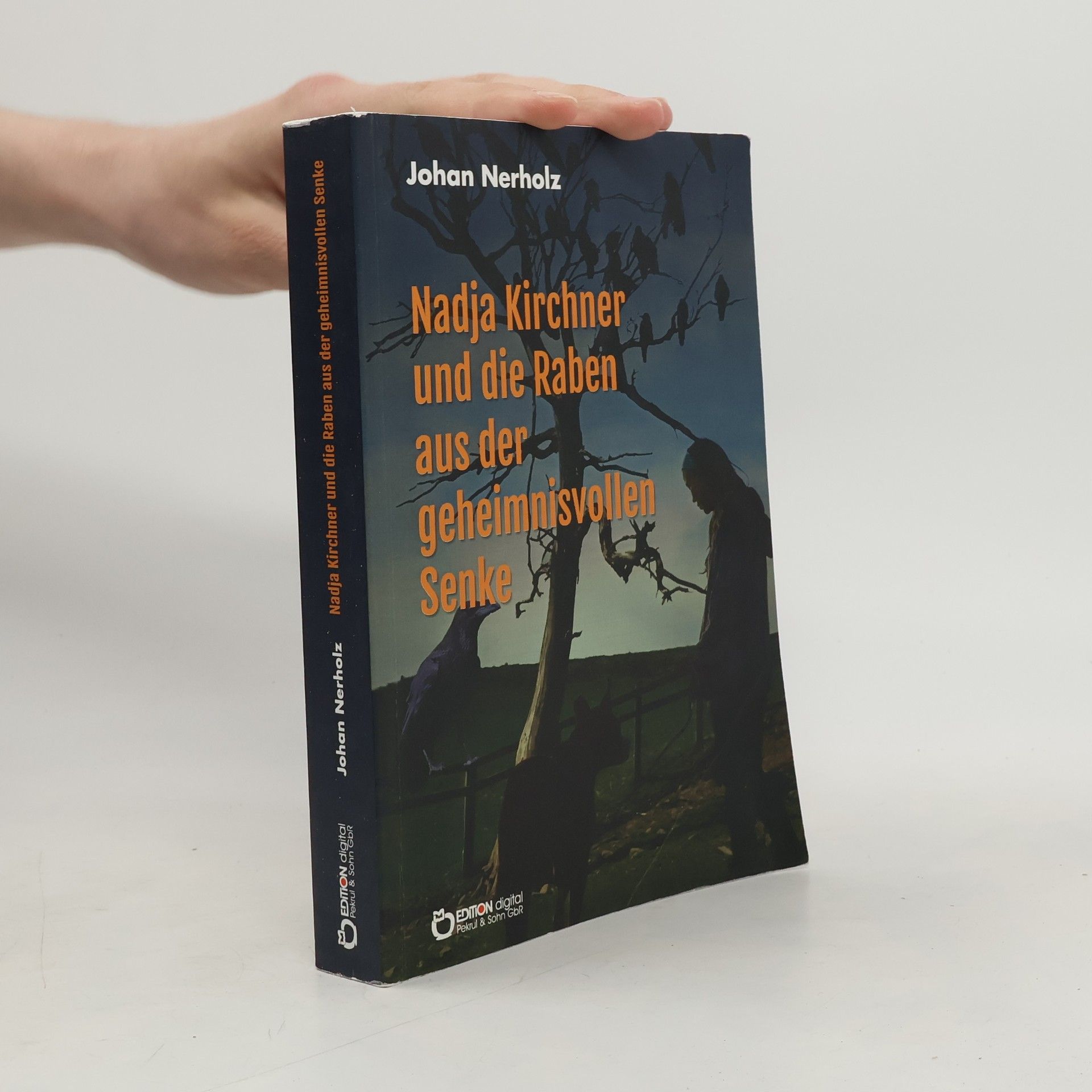 Johan Nerholz Nadja Kirchner und die Raben aus der geheimnisvollen Senke