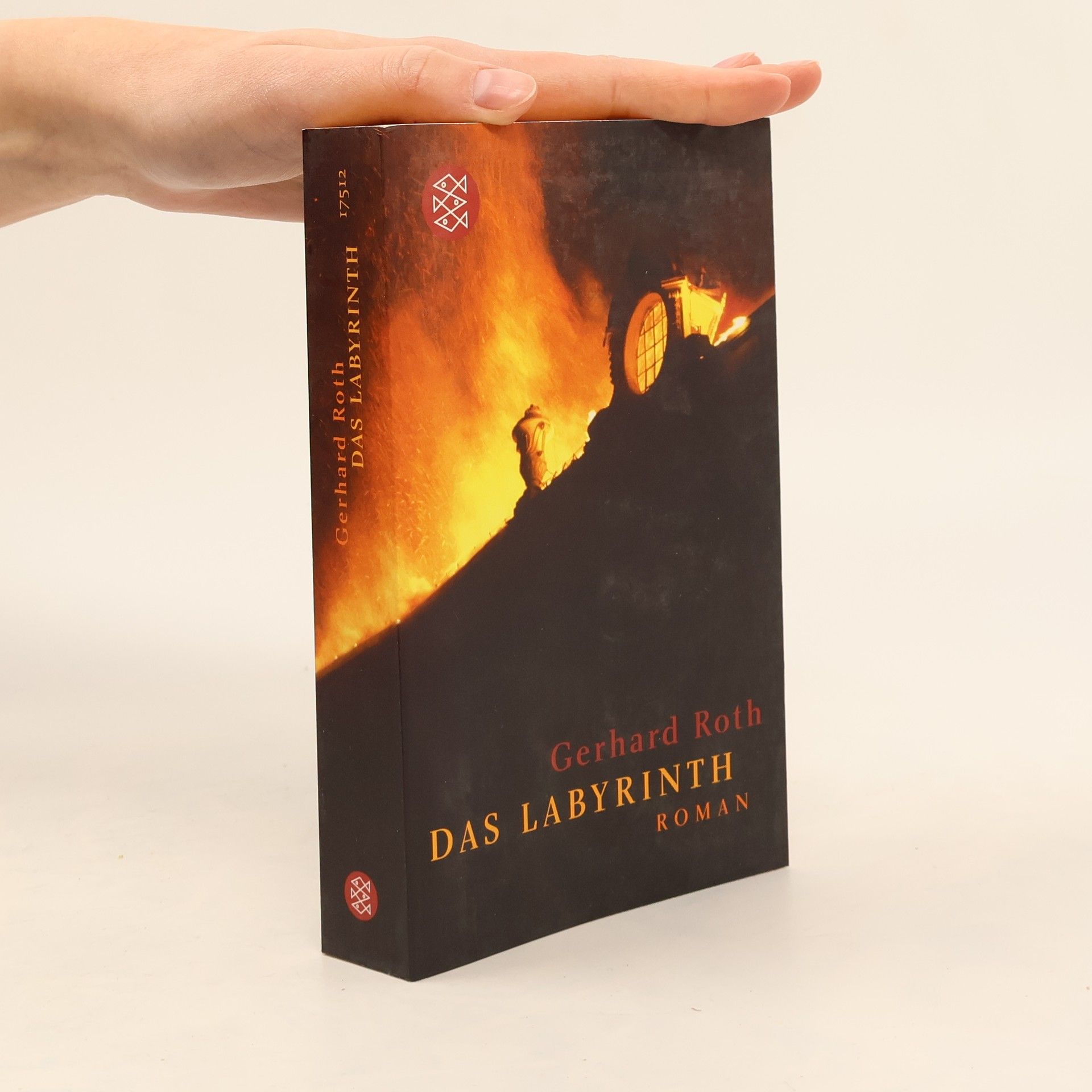 Gerhard Roth Das Labyrinth