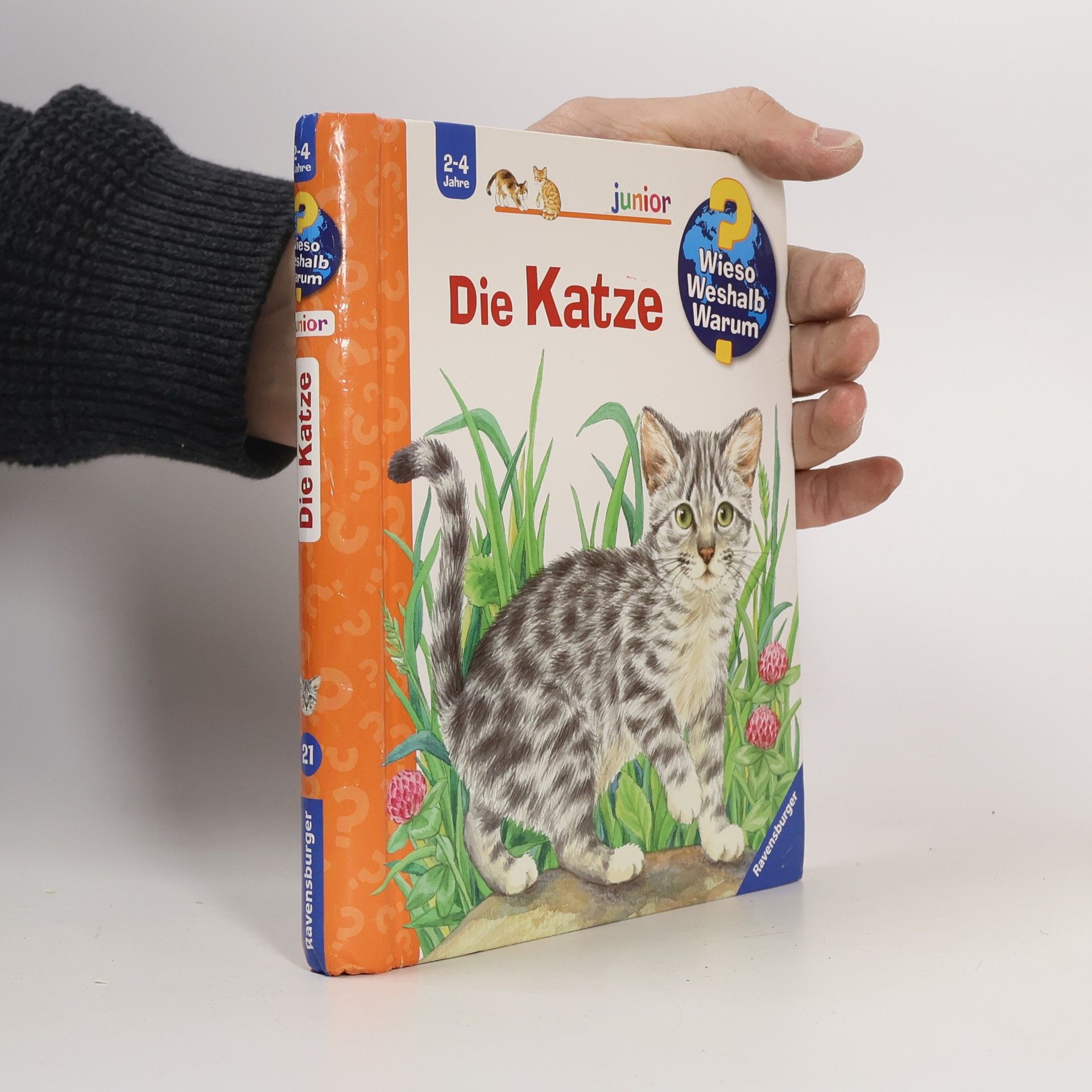 Ursula Weller Die Katze