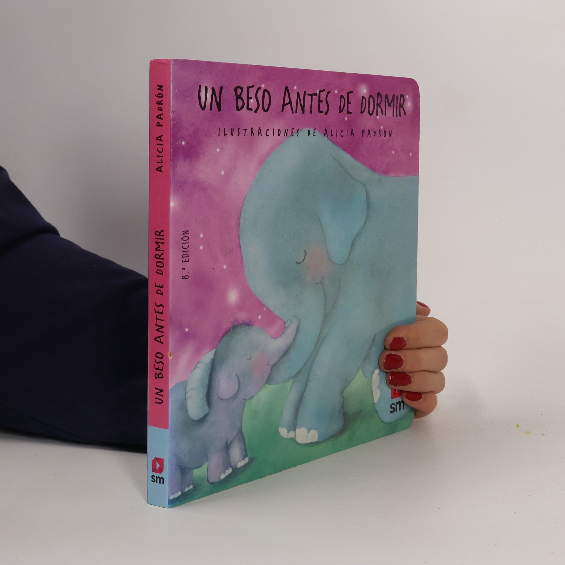 Teresa Tellechea Un beso antes de dormir