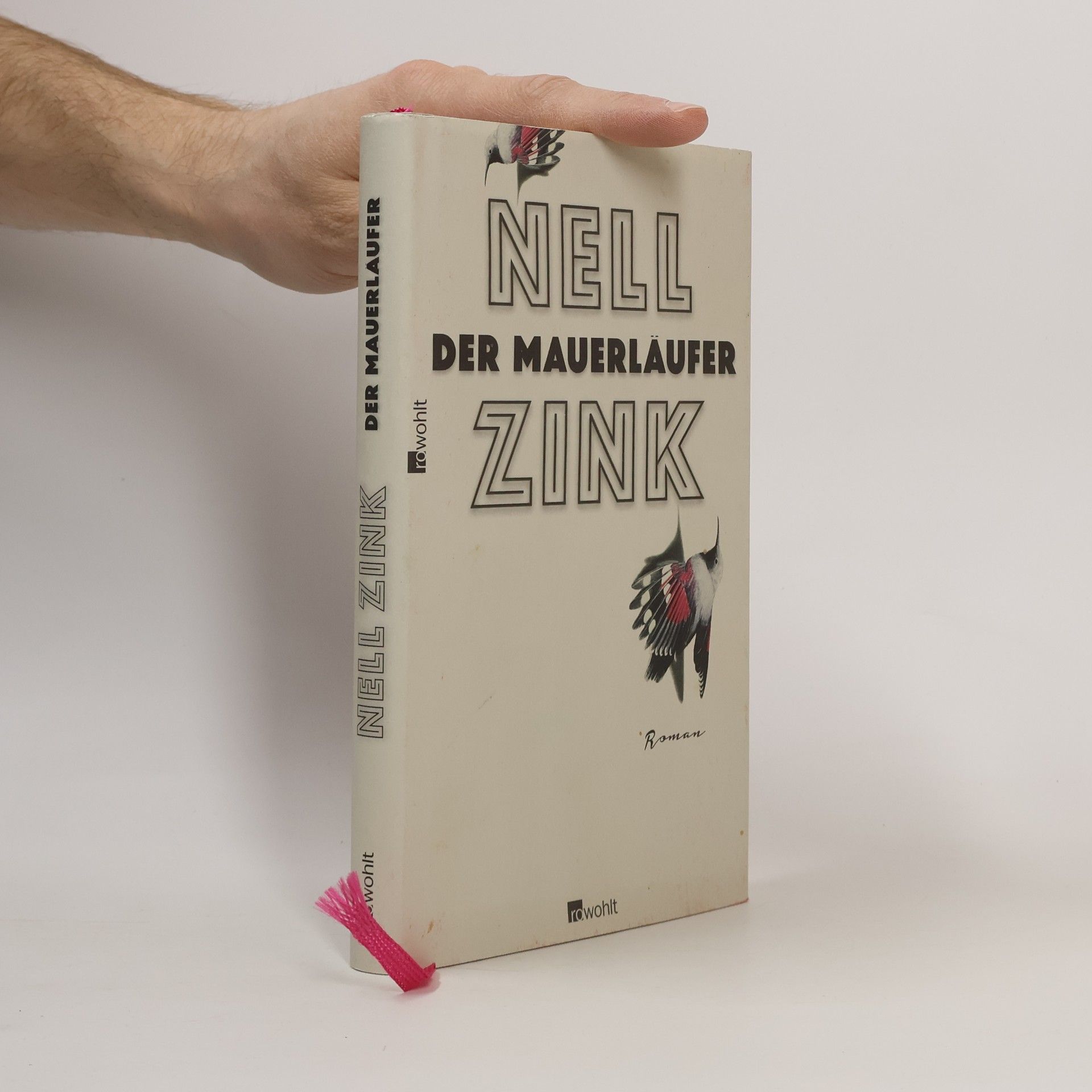 Nell Zink Der Mauerläufer