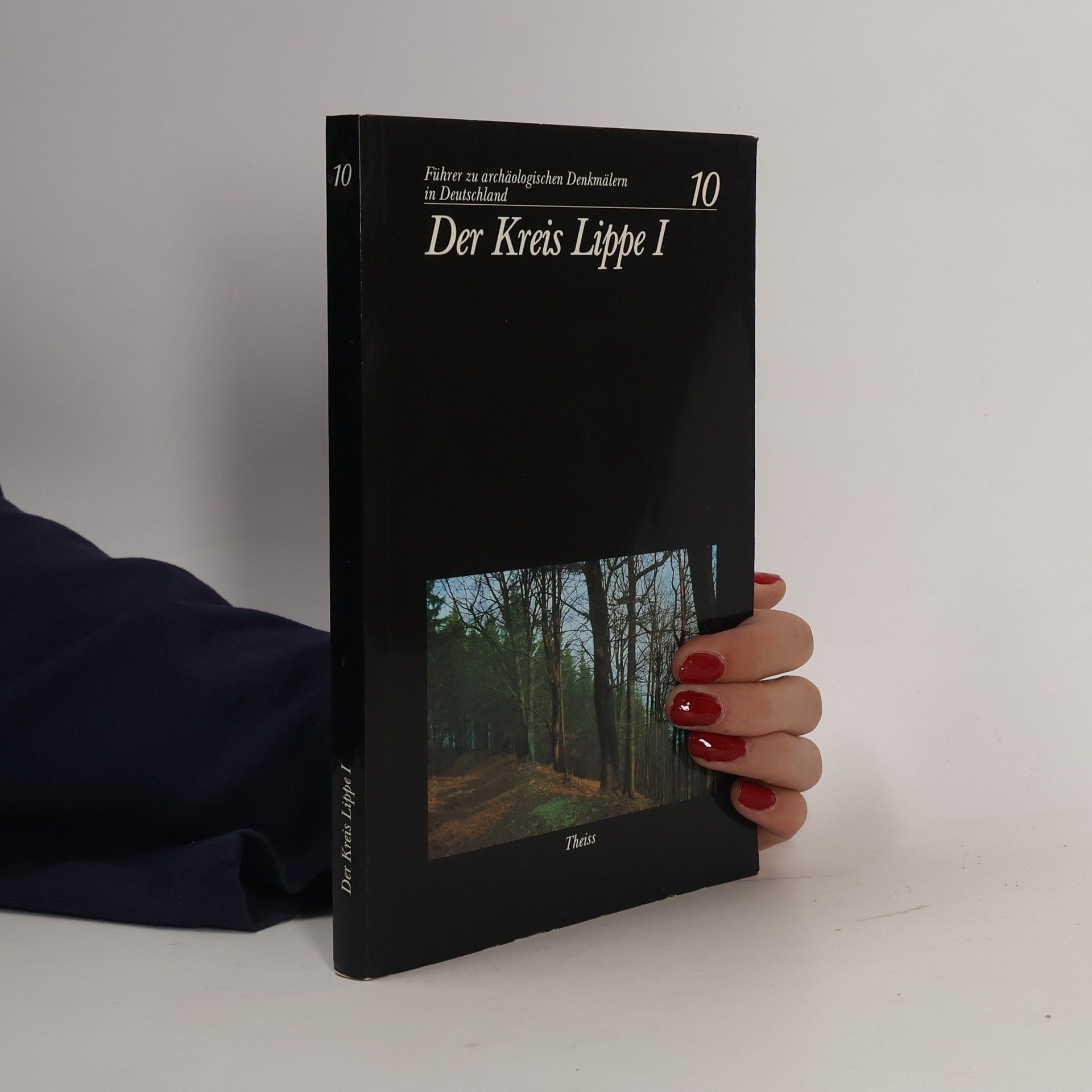 Various authors Der Kreis Lippe I