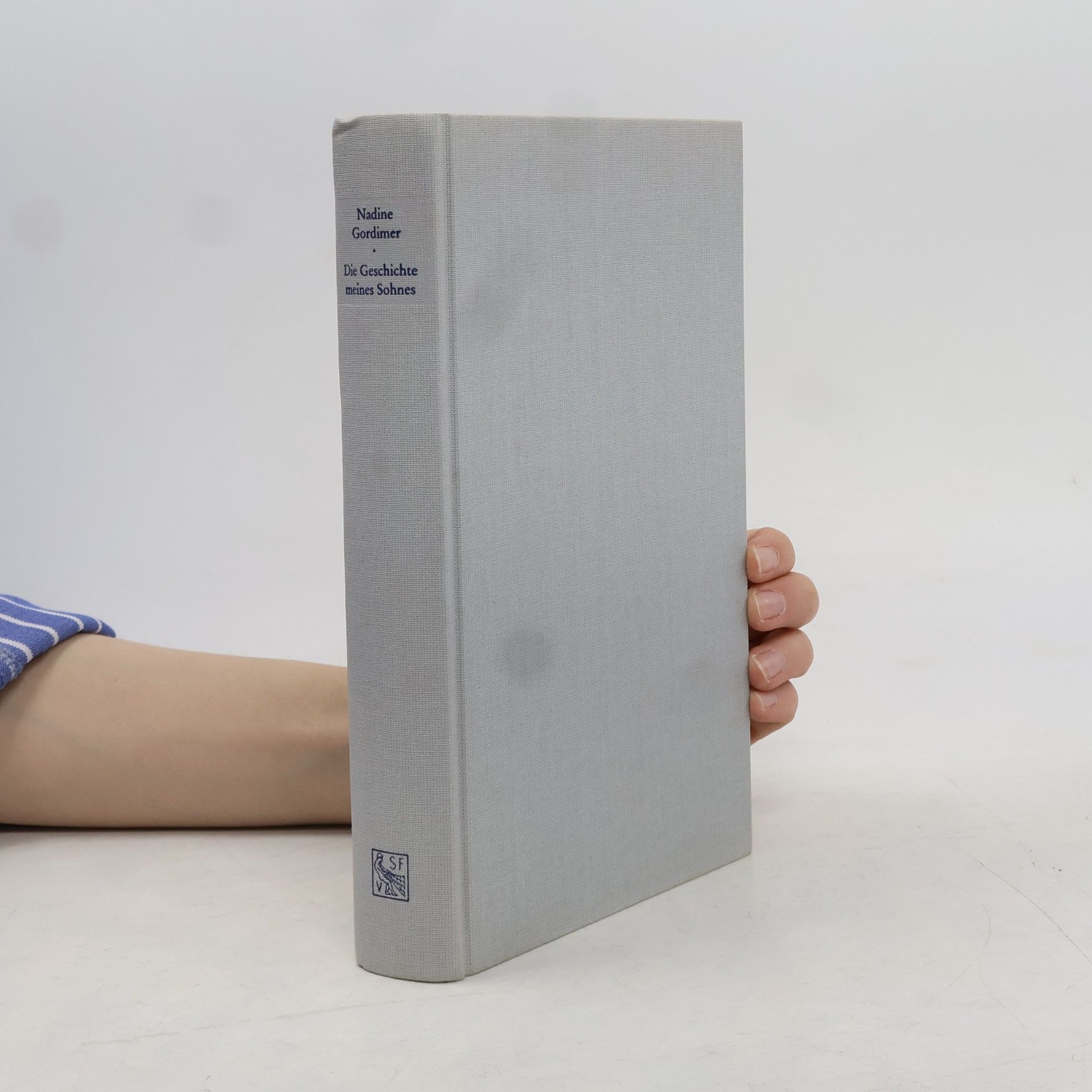 Nadine Gordimer Die Geschichte meines Sohnes