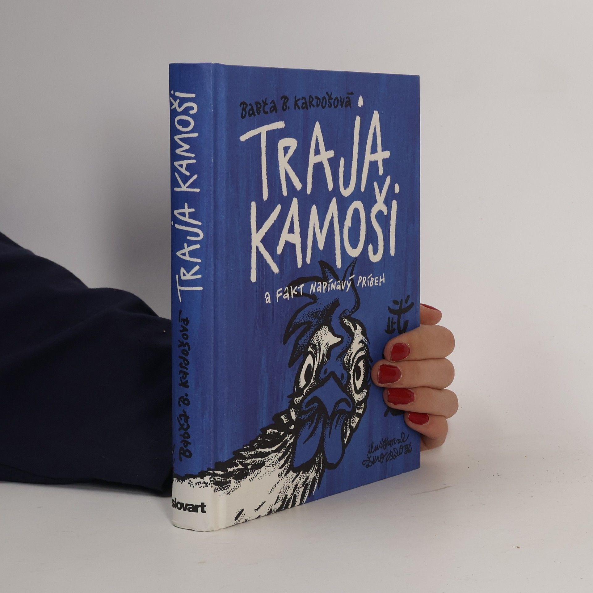 Barbora Kardošová Traja kamoši a fakt napínavý příbeh