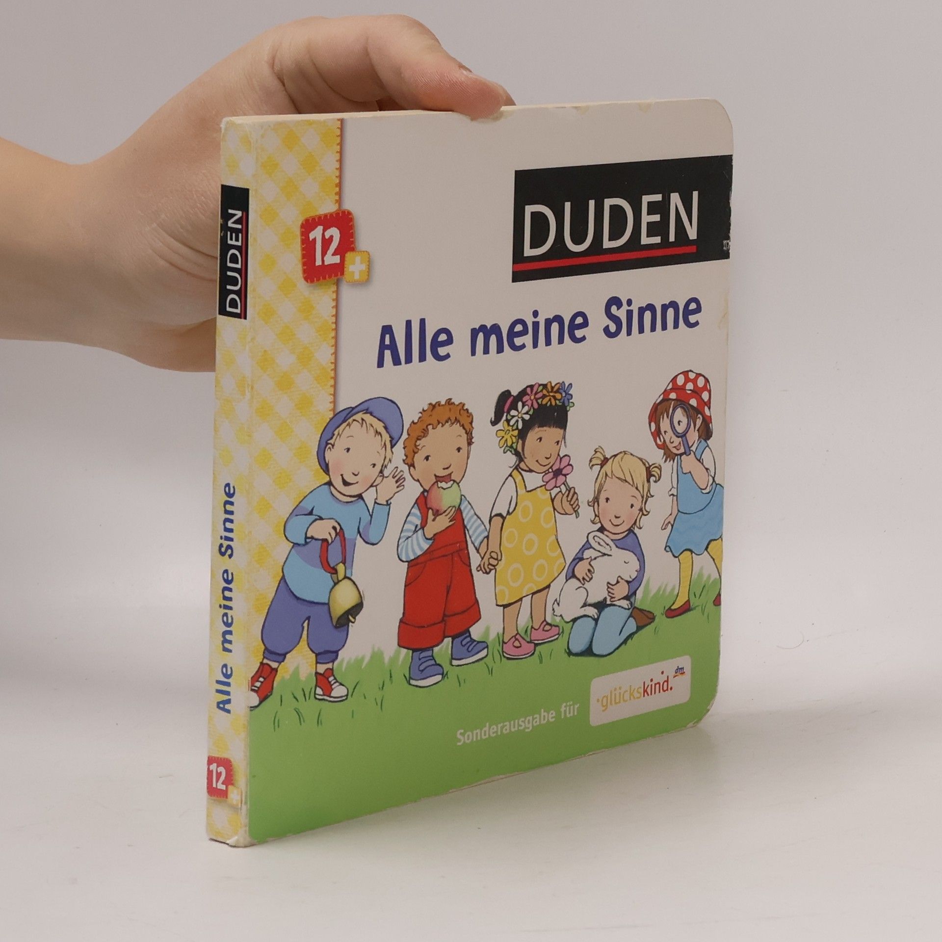 Autores varios Alle meine Sinne