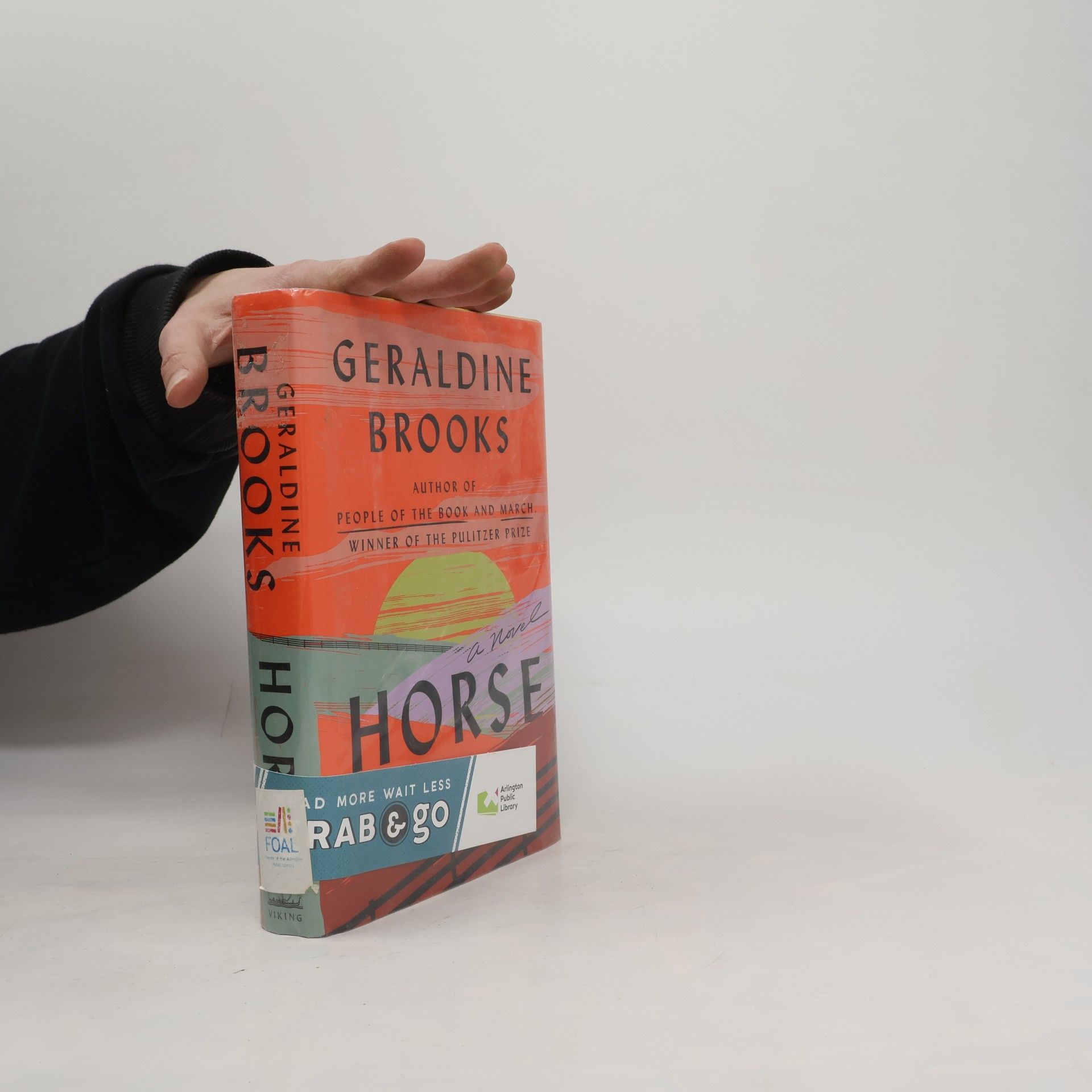 Geraldine Brooks Horse