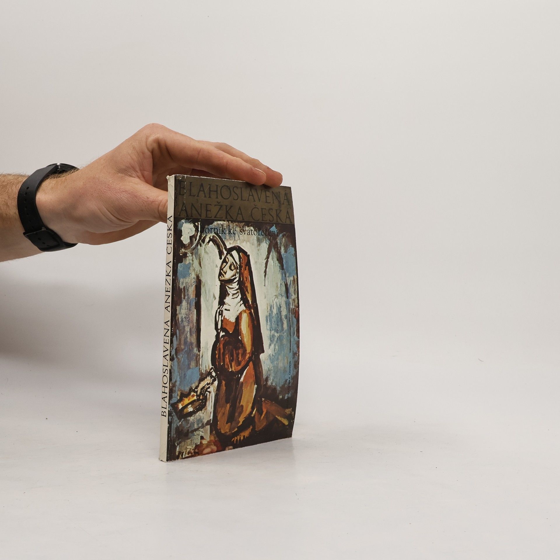 Bohumil Svoboda Blahoslavená Anežka Česká