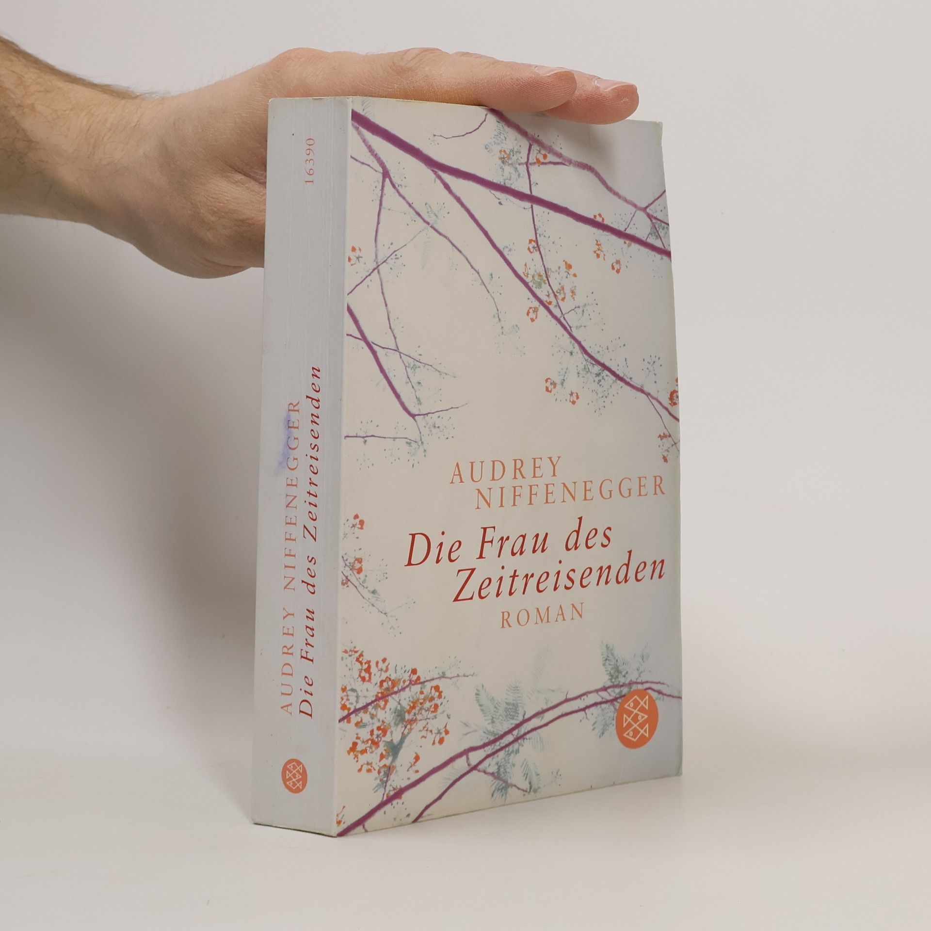Audrey Niffenegger Die Frau des Zeitreisenden
