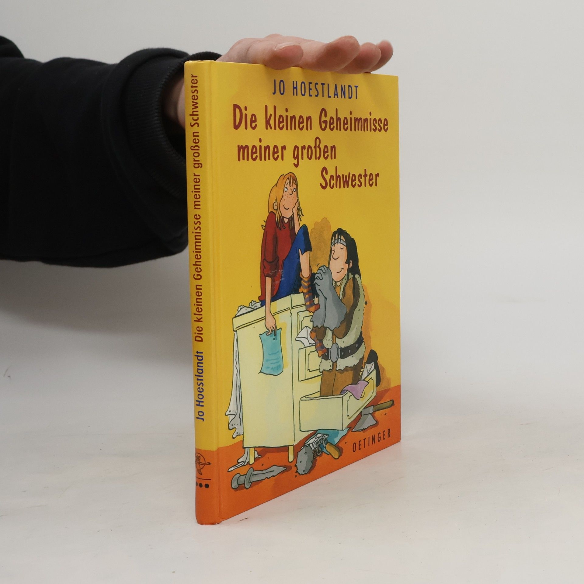 Jo Hoestlandt Die kleinen Geheimnisse meiner großen Schwester