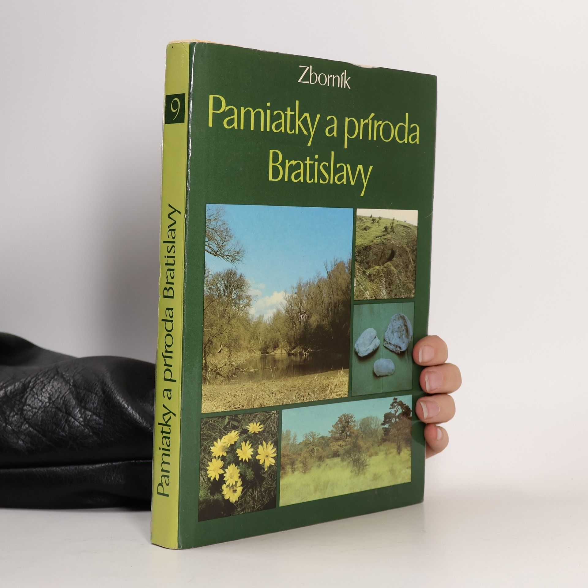 Kolektiv autorů Pamiatky a príroda Bratislavy 9