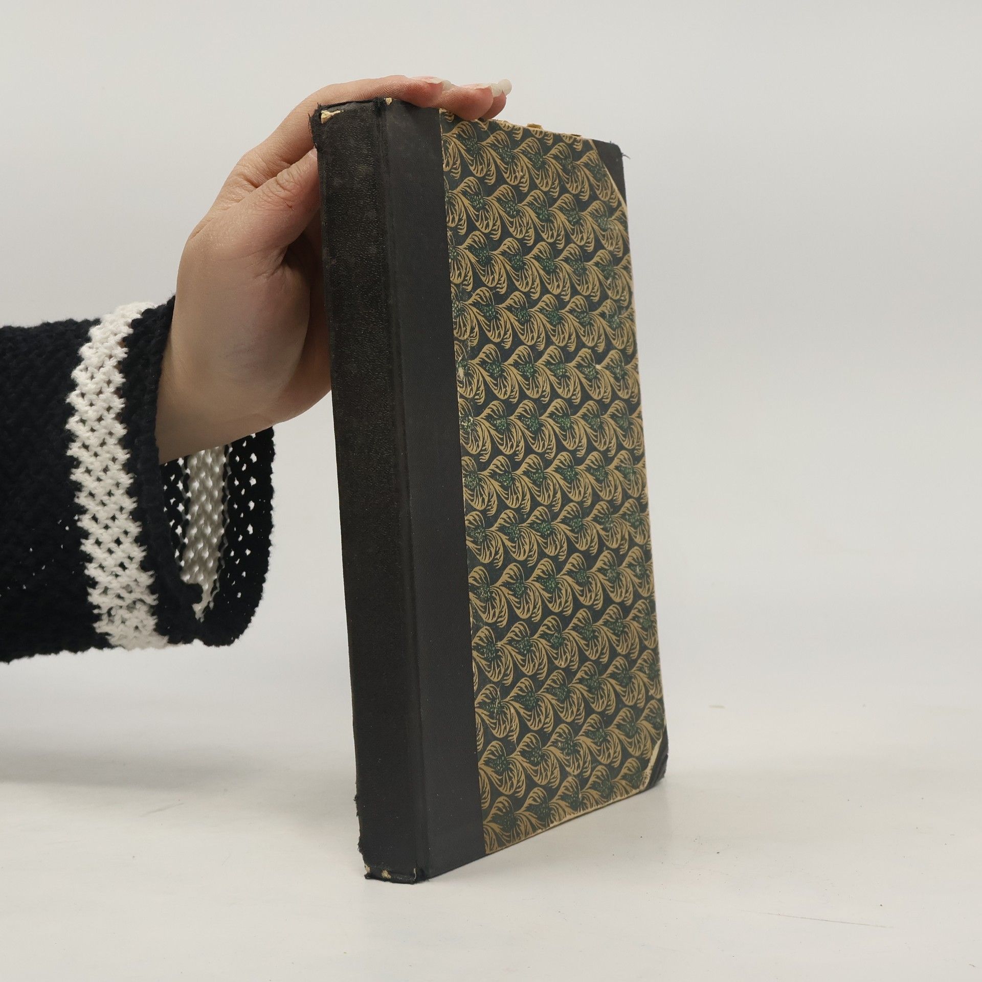 Jan Havlasa Zkrocený západ