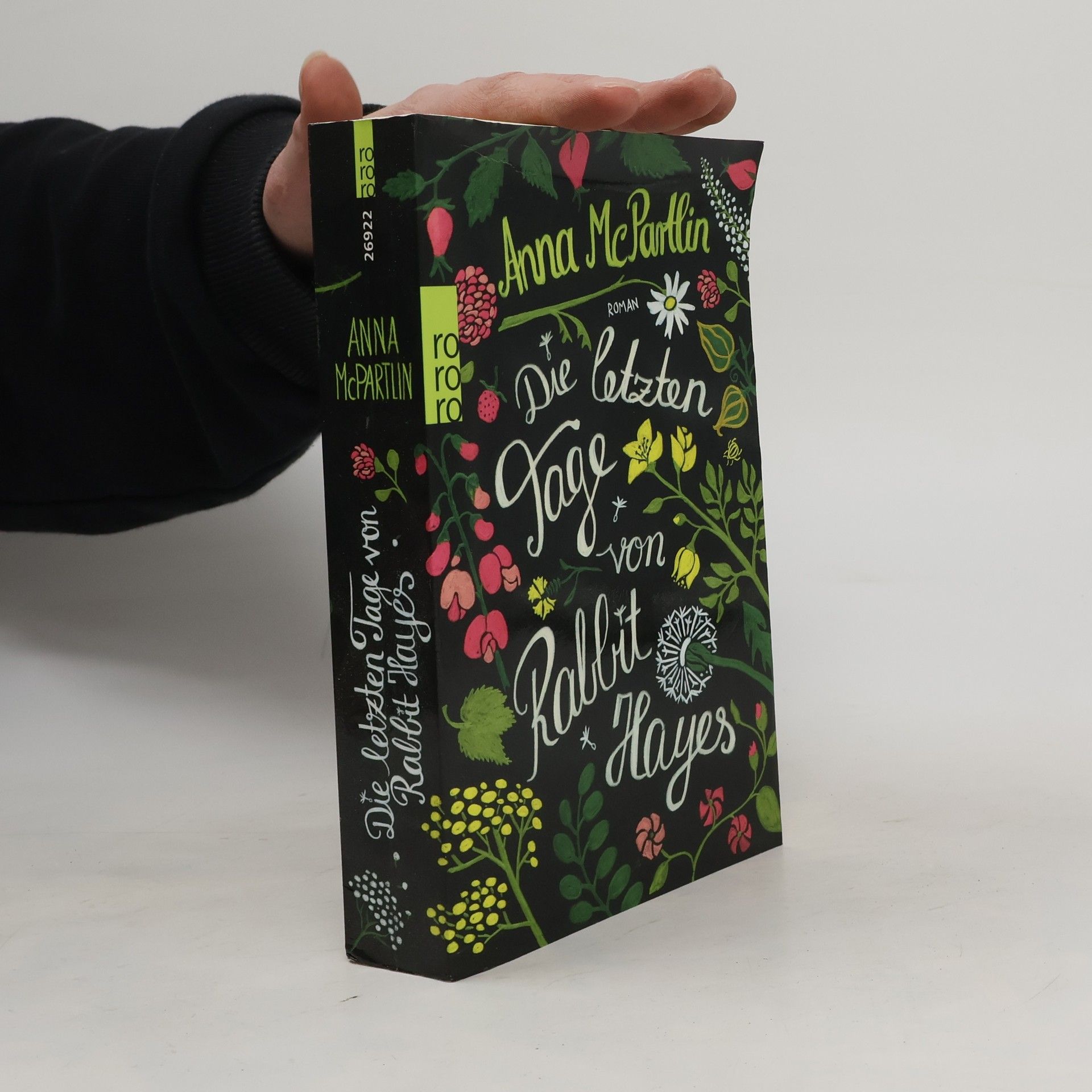 Anna Mc Partlin Die letzten Tage von Rabbit Hayes