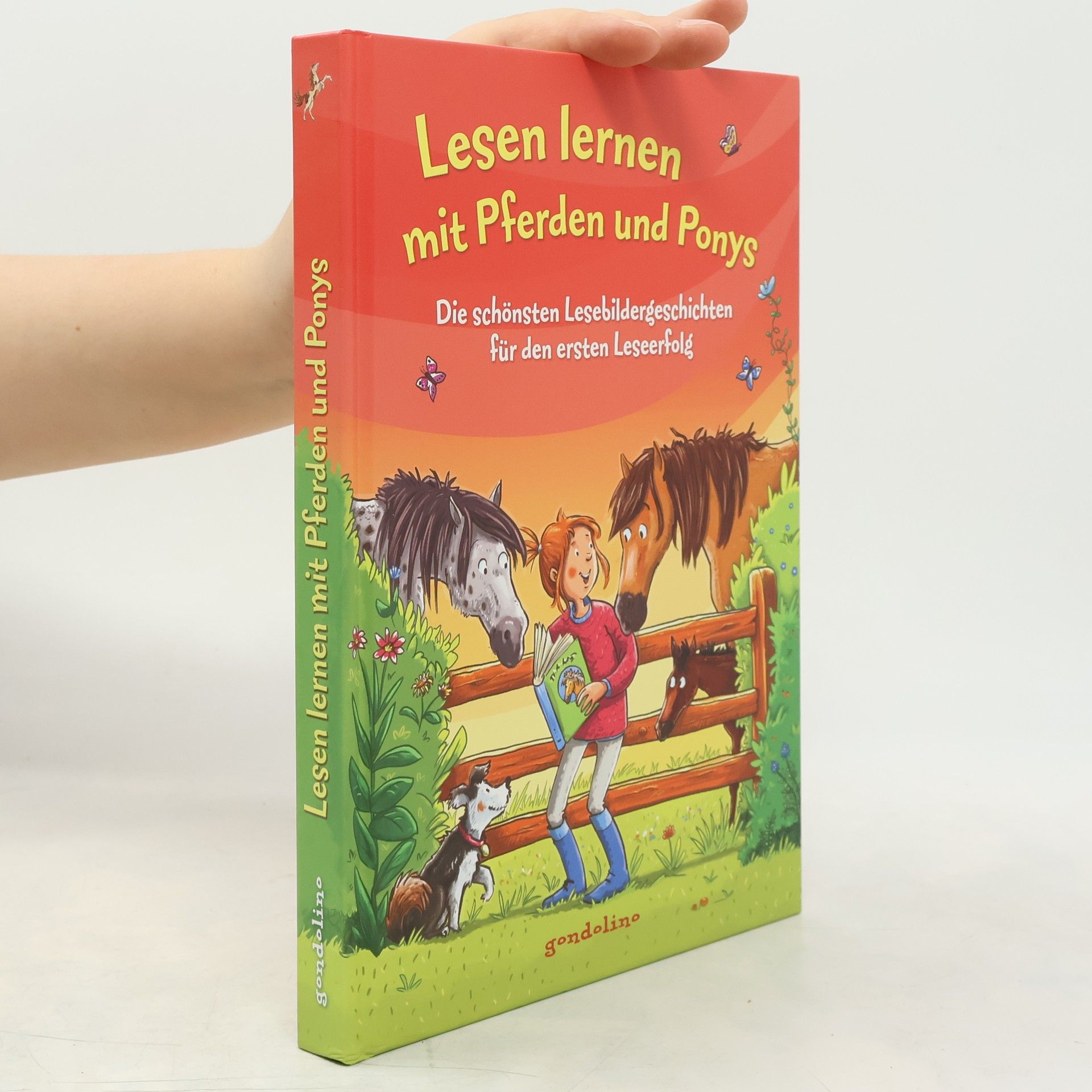 Christine Raudies Lesen lernen mit Pferden und Ponys