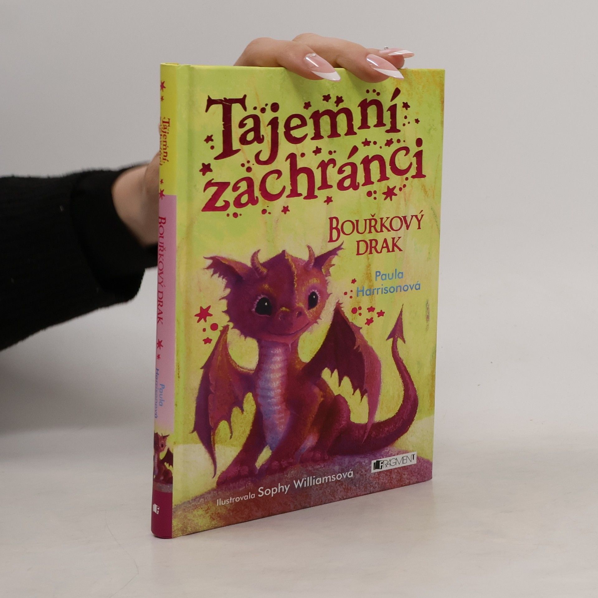 Paula Harrison Tajemní zachránci - Bouřkový drak