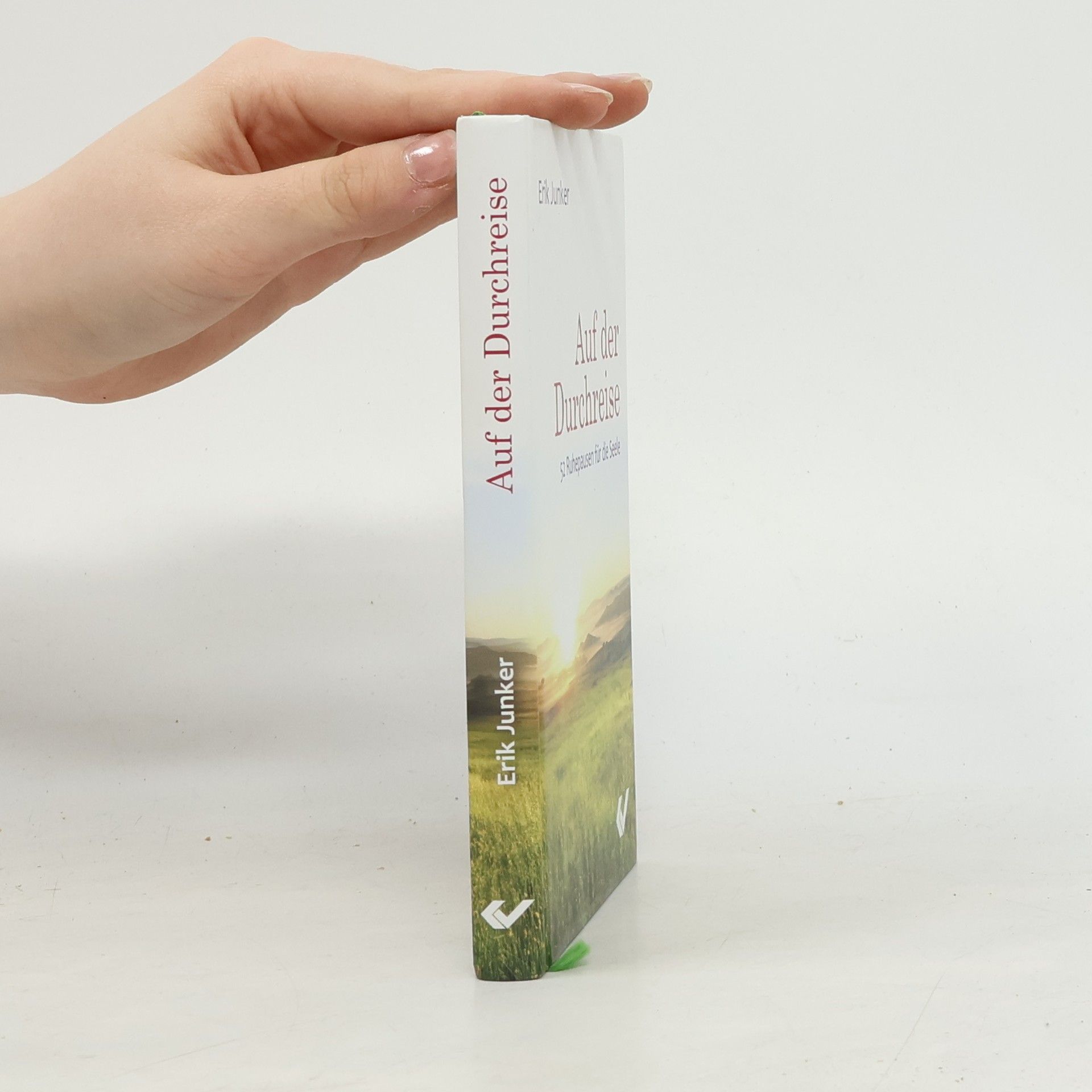 Erik Junker Auf der Durchreise