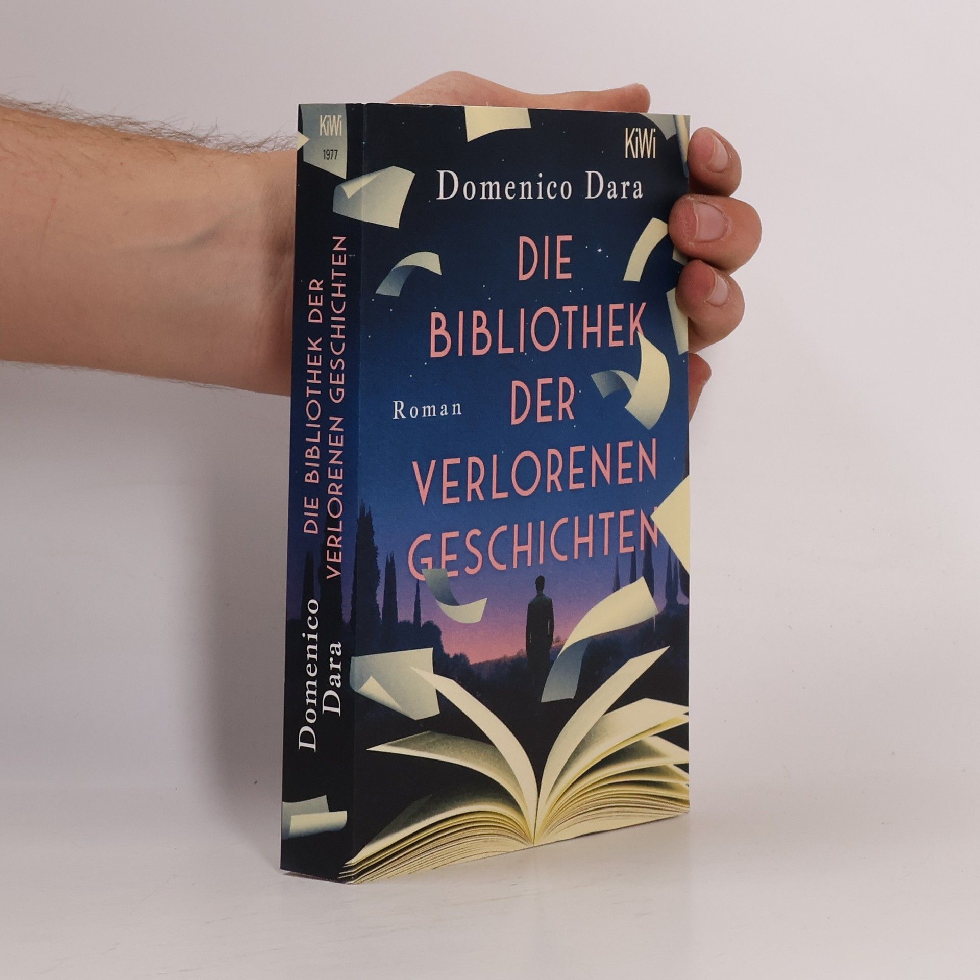 Domenico Dara Die Bibliothek der verlorenen Geschichten