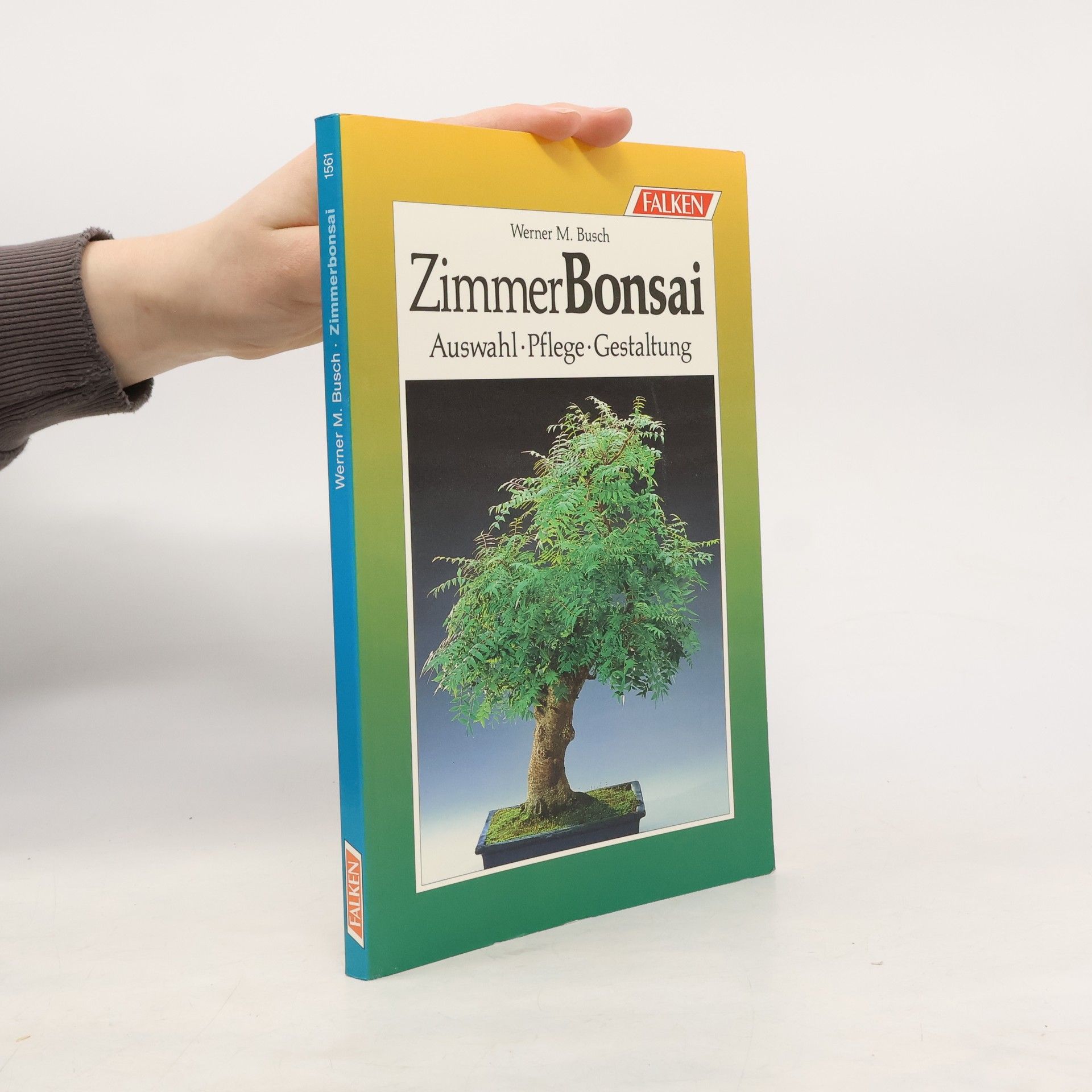 Zimmerbonsai