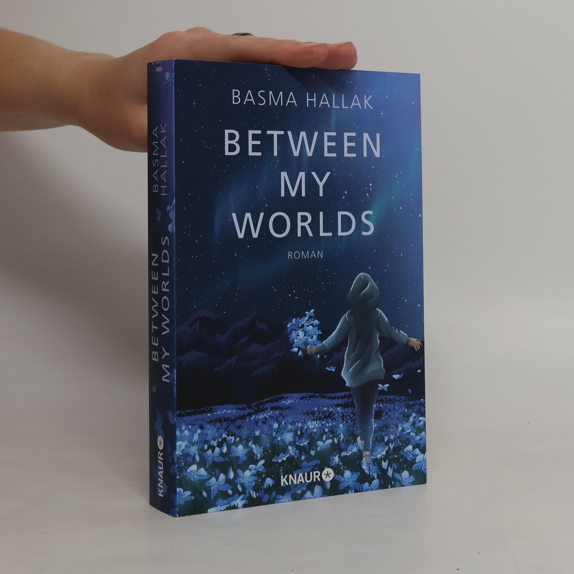 Between My Worlds / Kalima und Nói Bd.1