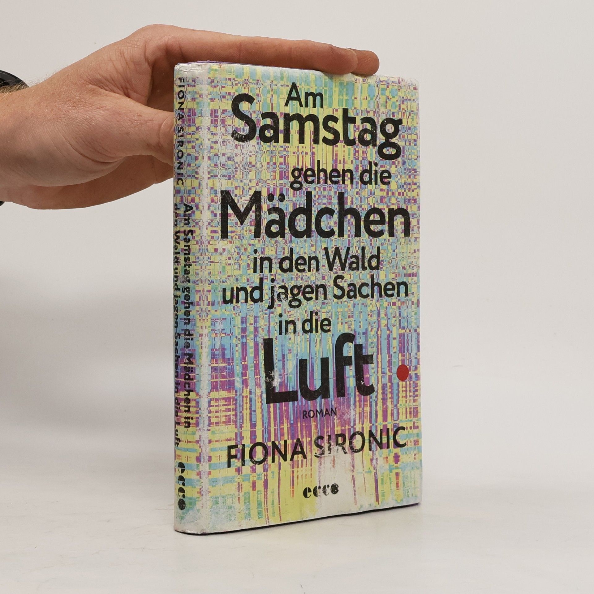 Fiona Sironic Am Samstag gehen die Mädchen in den Wald und jagen Sachen in die Luft