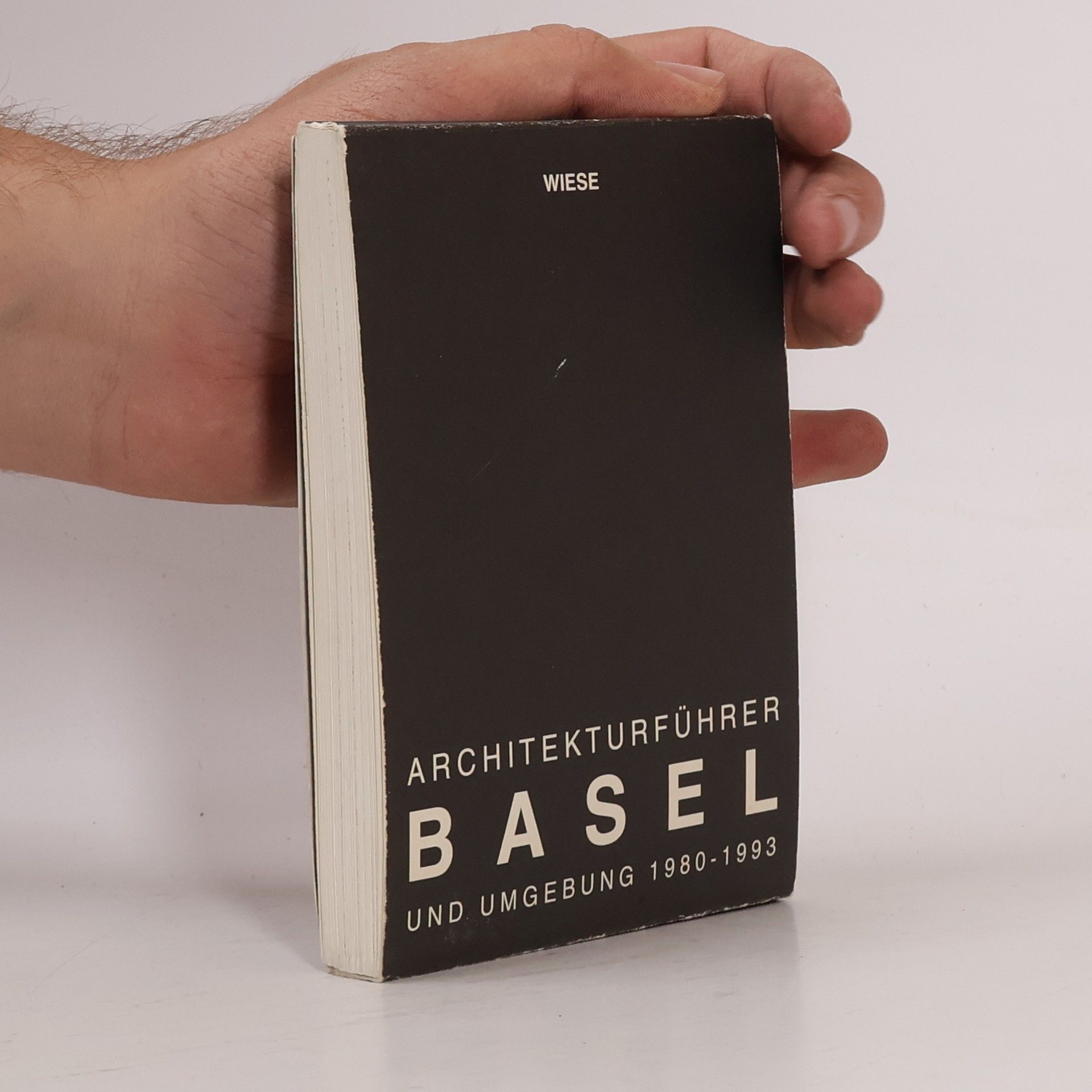 Daniel Burckhardt-Wildt Architekturführer Basel