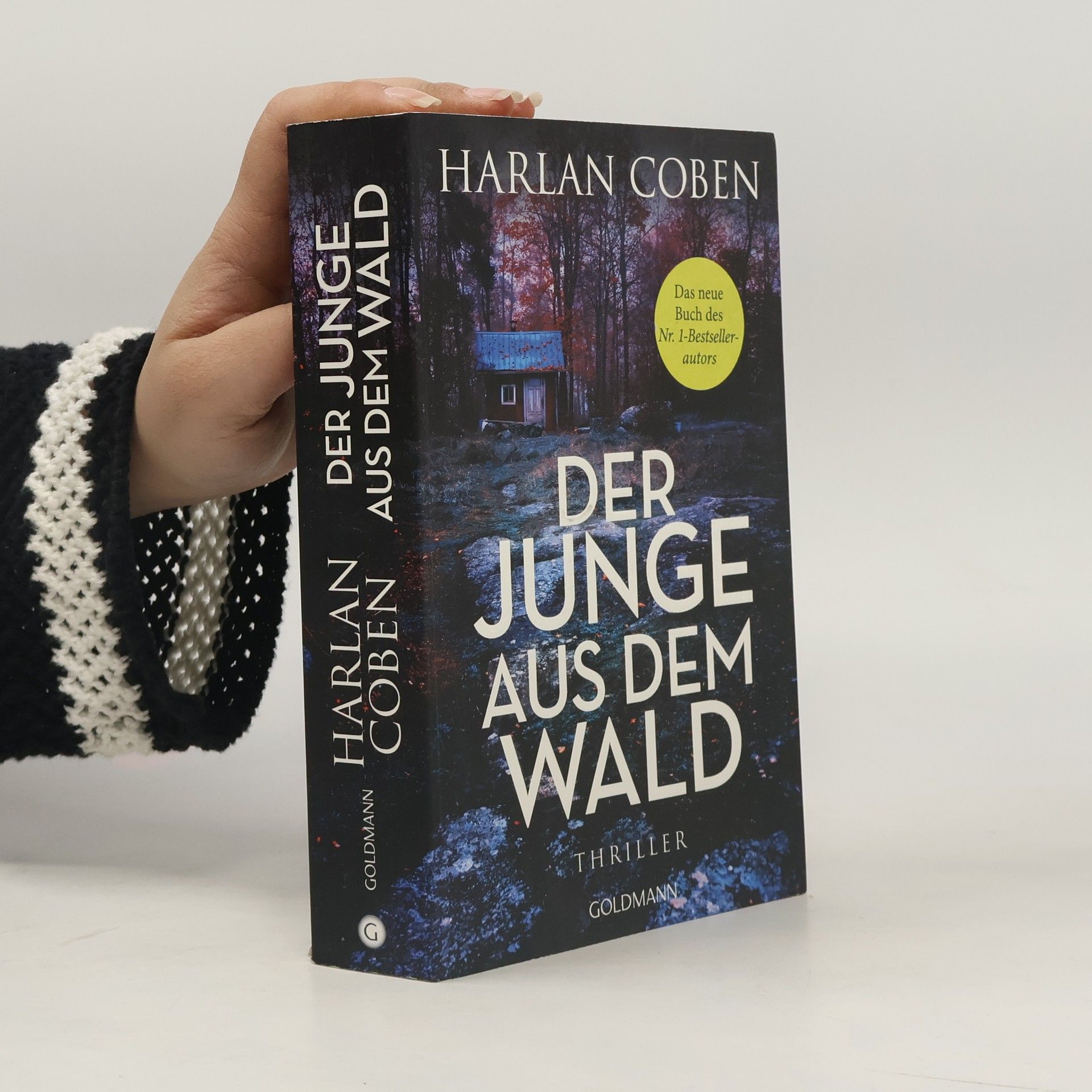 Harlan Coben Der Junge aus dem Wald