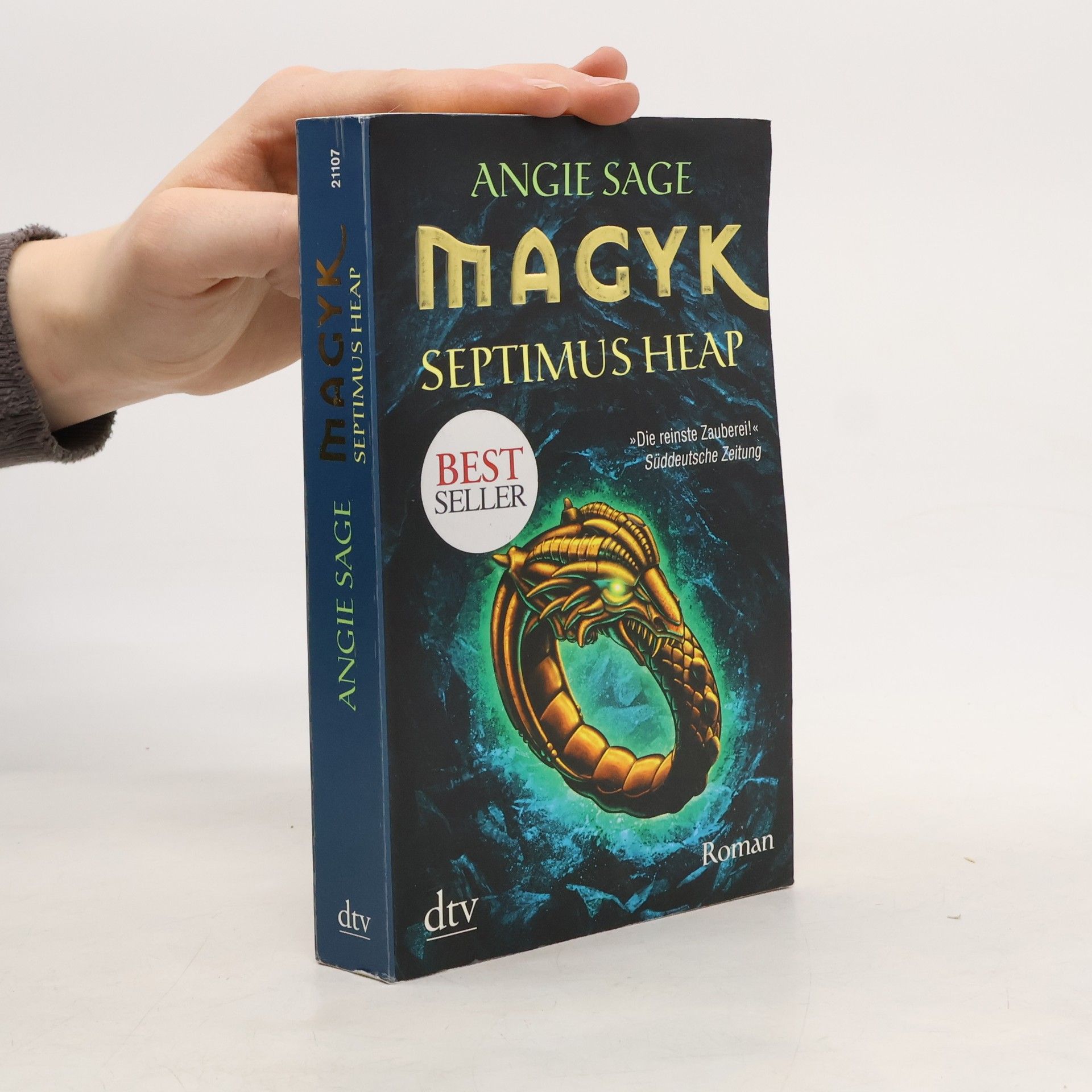 Angie Sage Septimus Heap