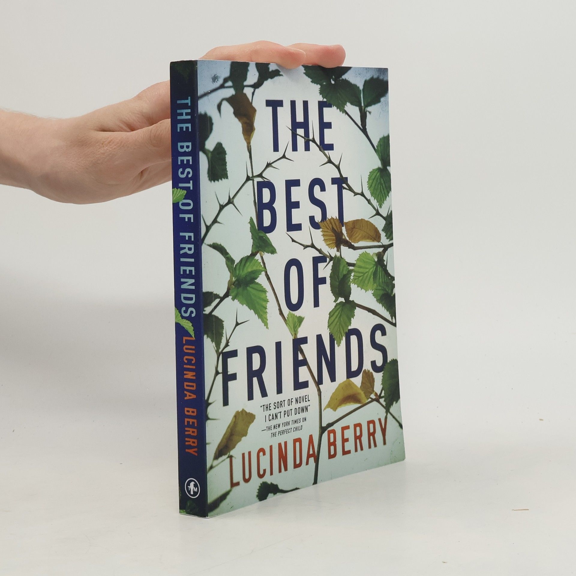 Lucinda Berry The Best of Friends