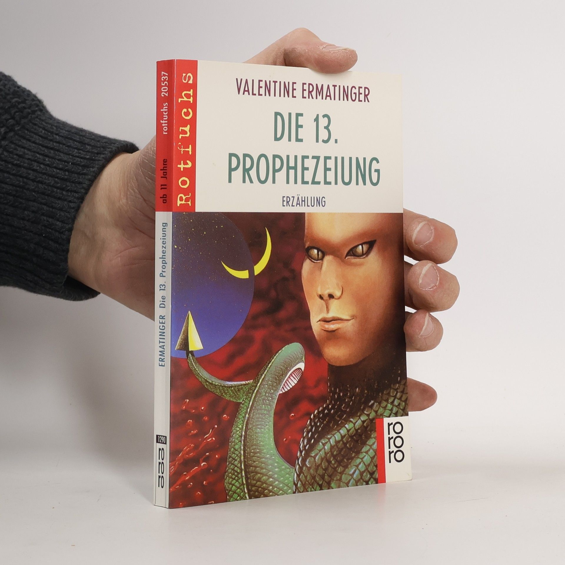 Die 13. Prophezeiung