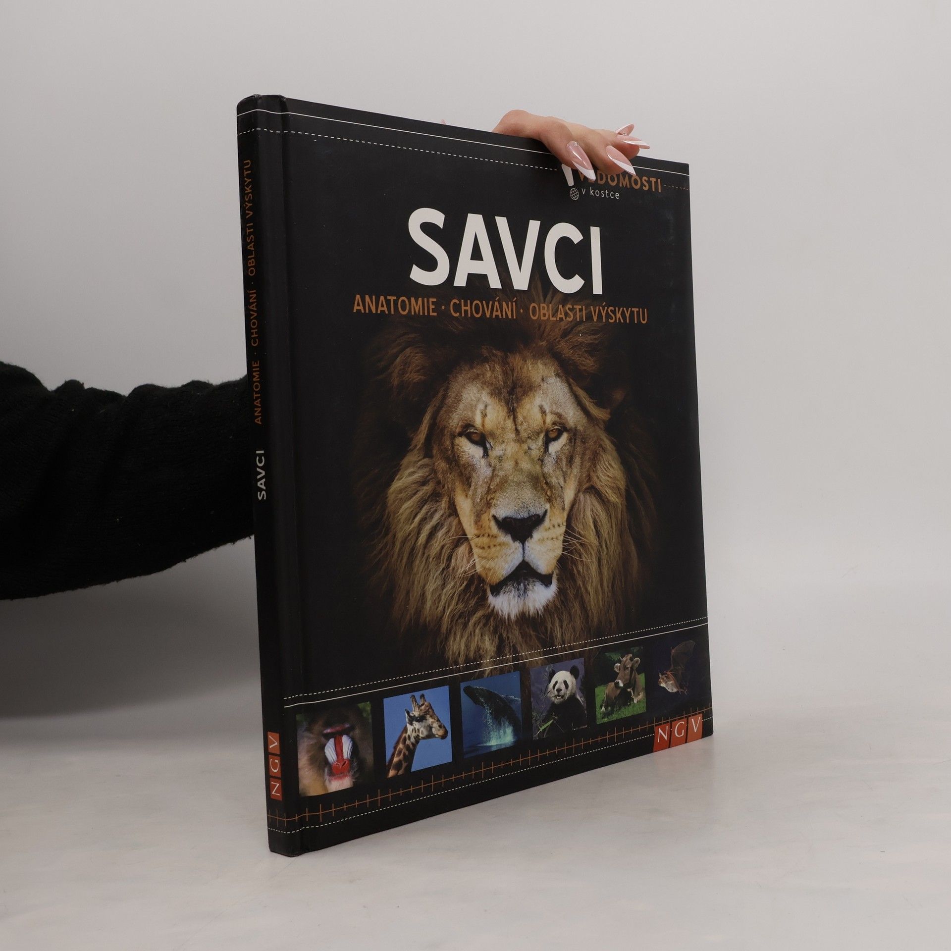 Autorenkollektiv Savci. Anatomie, chování, oblasti výskytu